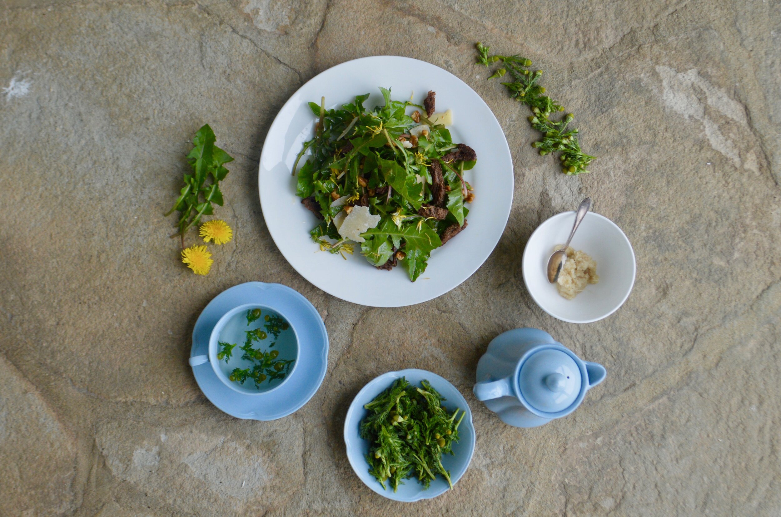 Eating Wild in Virginia