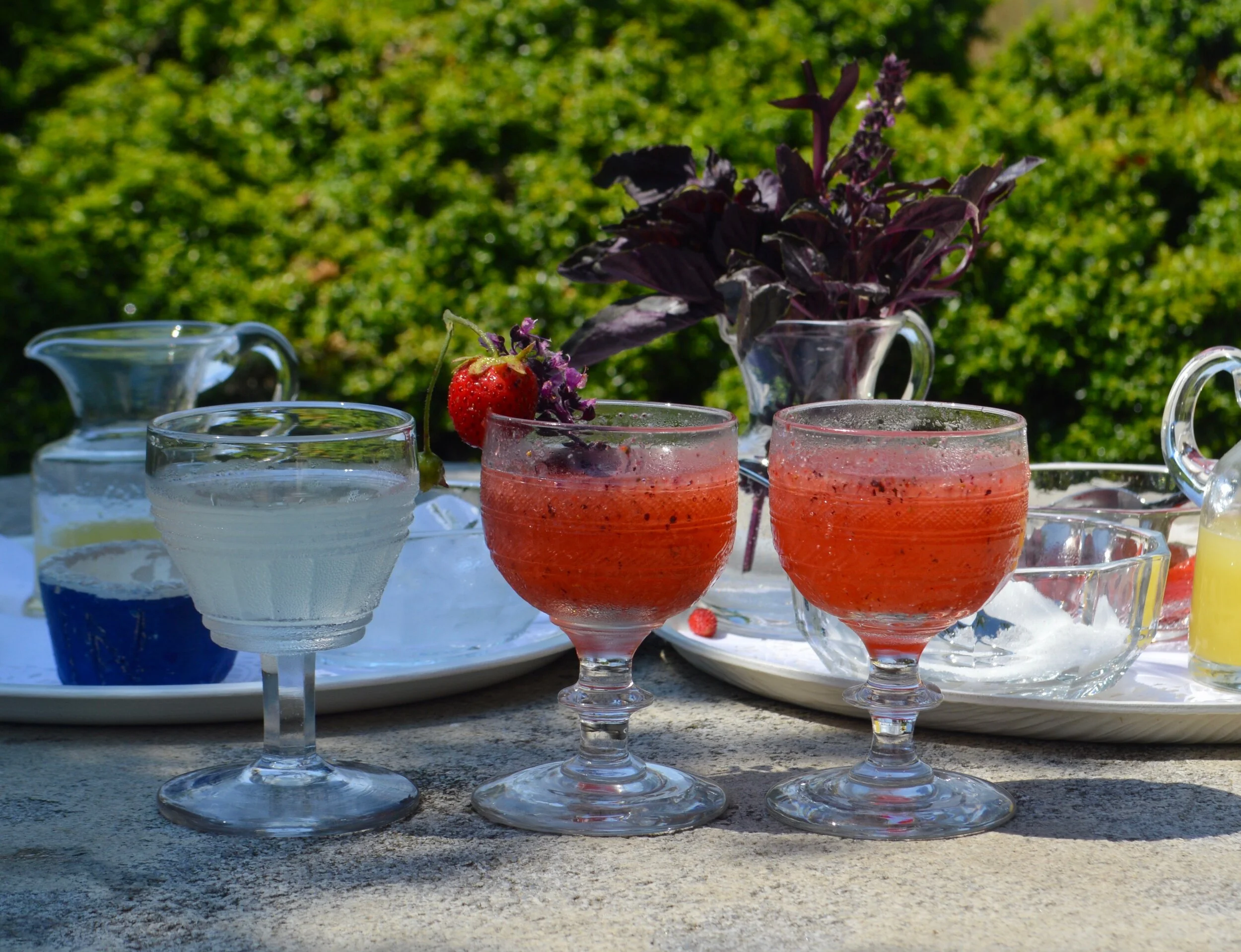 Oak Spring Summer Daiquiris