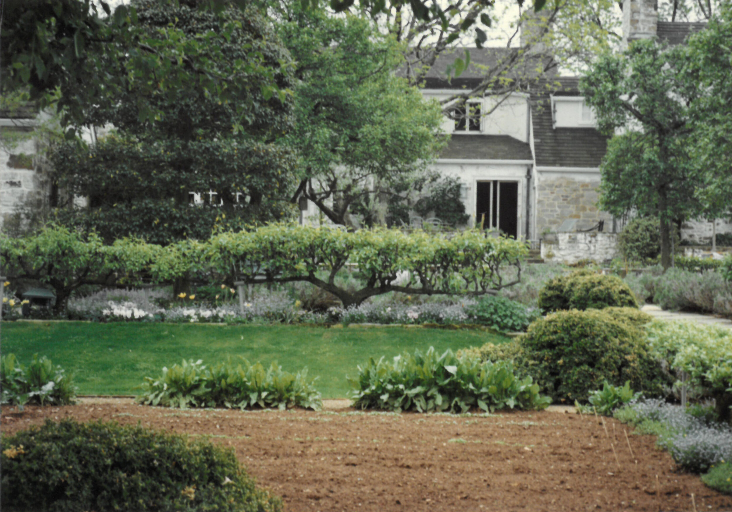  The walled garden at the Mellon Main Residence has seen many changes over the more fifty years that it was tended by Mrs. Mellon. It grew as Mrs. Mellon did, and was always evolving in structure and in its plantings as Mrs. Mellon’s tastes changed a
