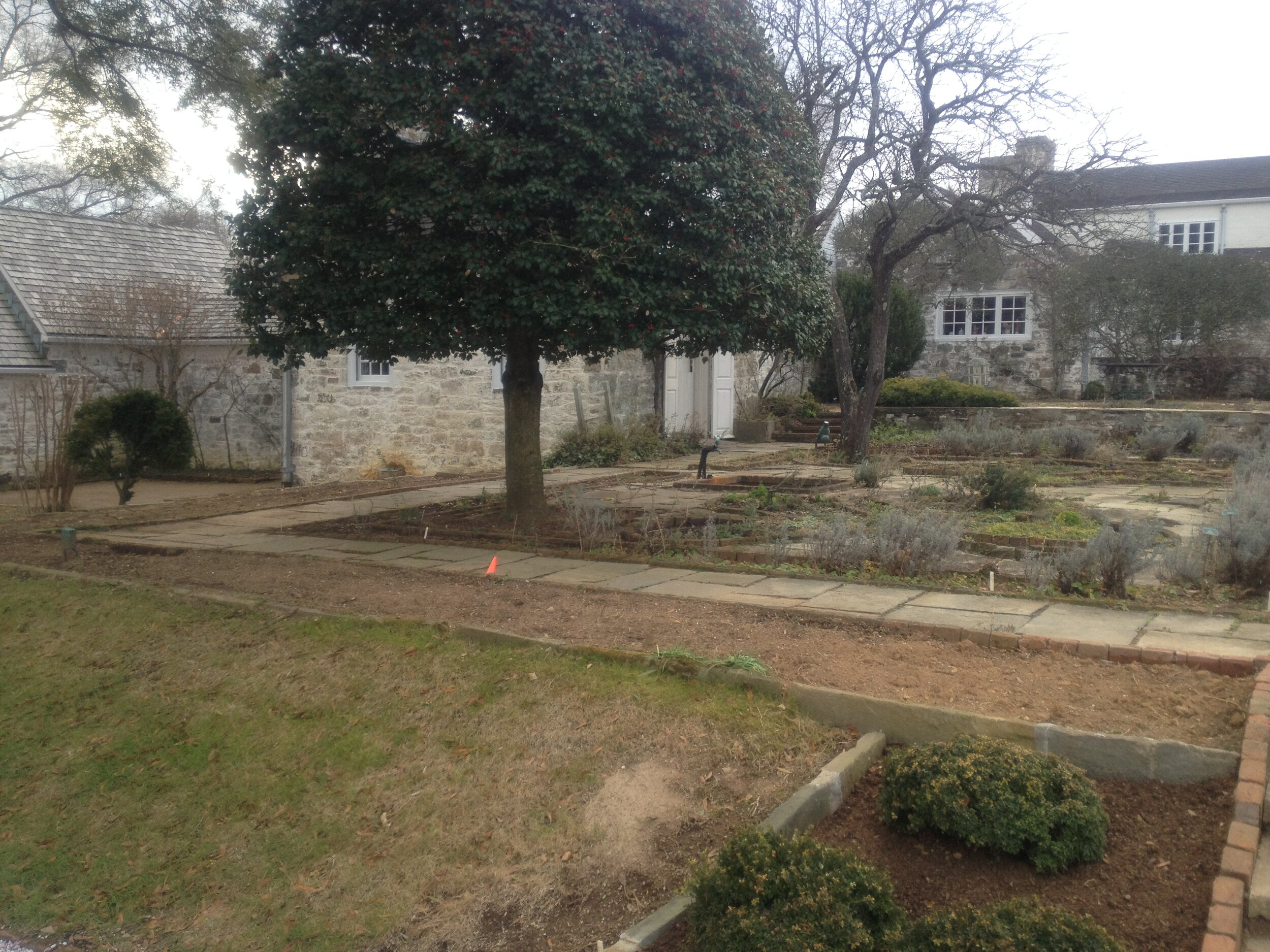  December 2014 – By the end of Mrs. Mellon’s life her garden had deteriorated. Many of the trees, espaliers, and stepover cordons that had graced the garden in its most illustrious years had died and had been removed. 