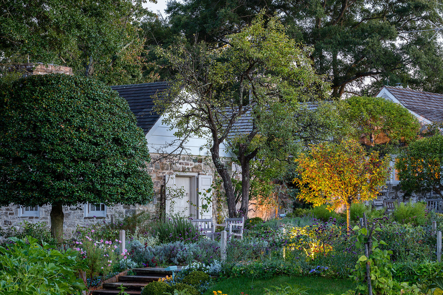  In 2015 and 2016 restoration work began in the garden. New plants, espaliers, and cordons replaced those that had been lost. Here is the garden in 2017, photographed by Roger Foley for  The Gardens of Bunny Mellon  with the support of the Oak Spring