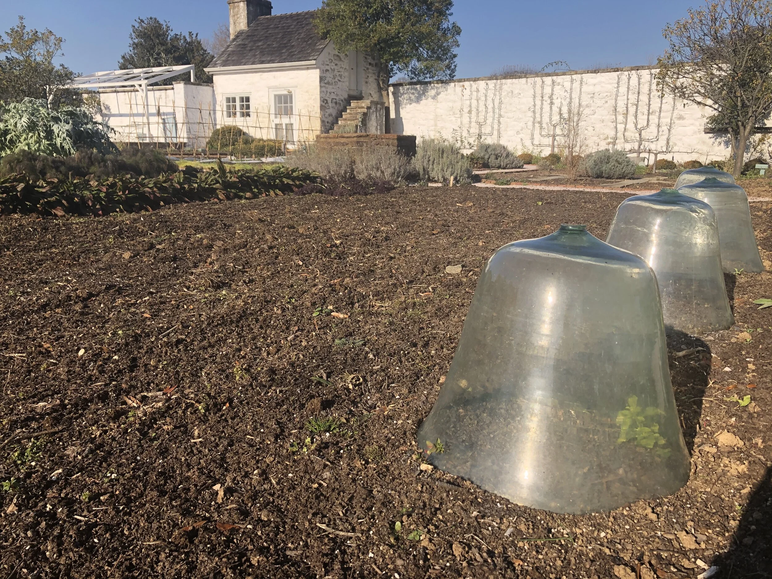 The World Beneath Your Feet (Part II): A Tale of Three Soils