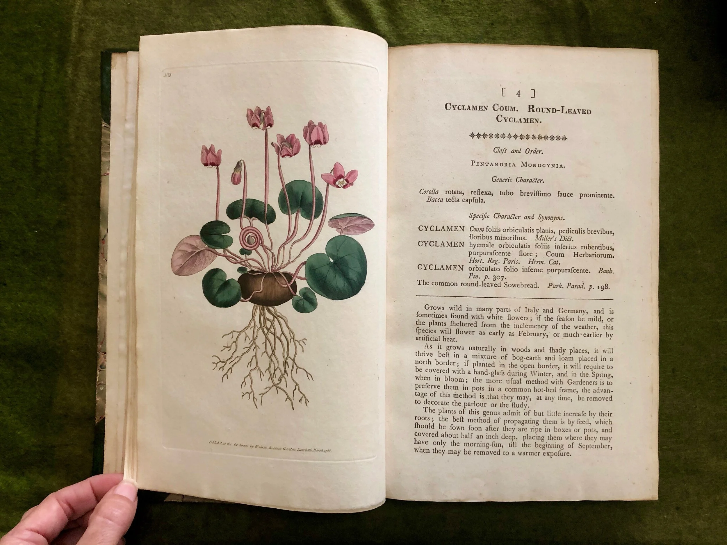 A Botanical Legend: William Curtis and his Botanical Magazine