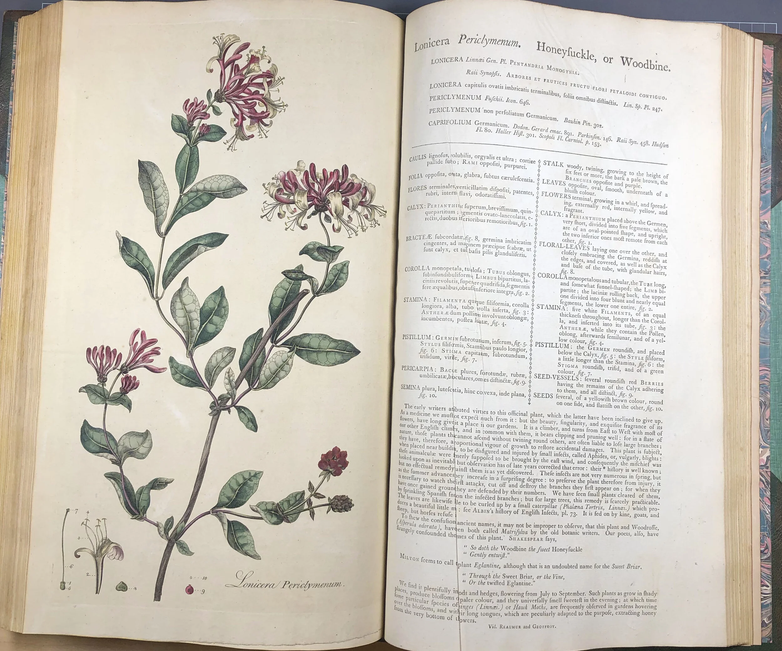 Oak Spring Garden Foundation - A Botanical Legend: William Curtis and ...