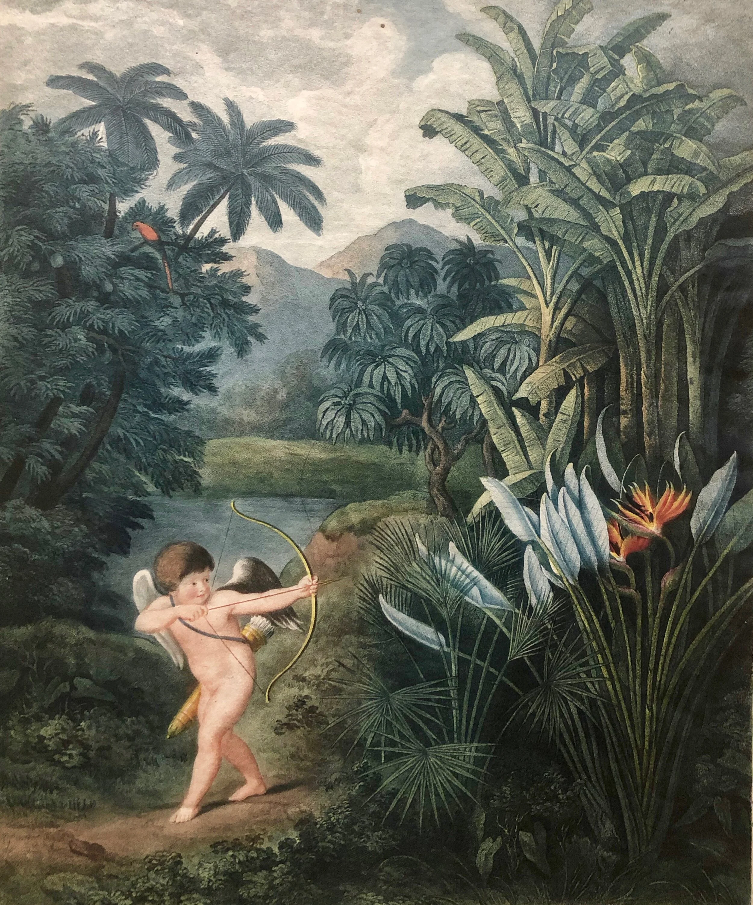 The World's Sexiest Plants (Part II)