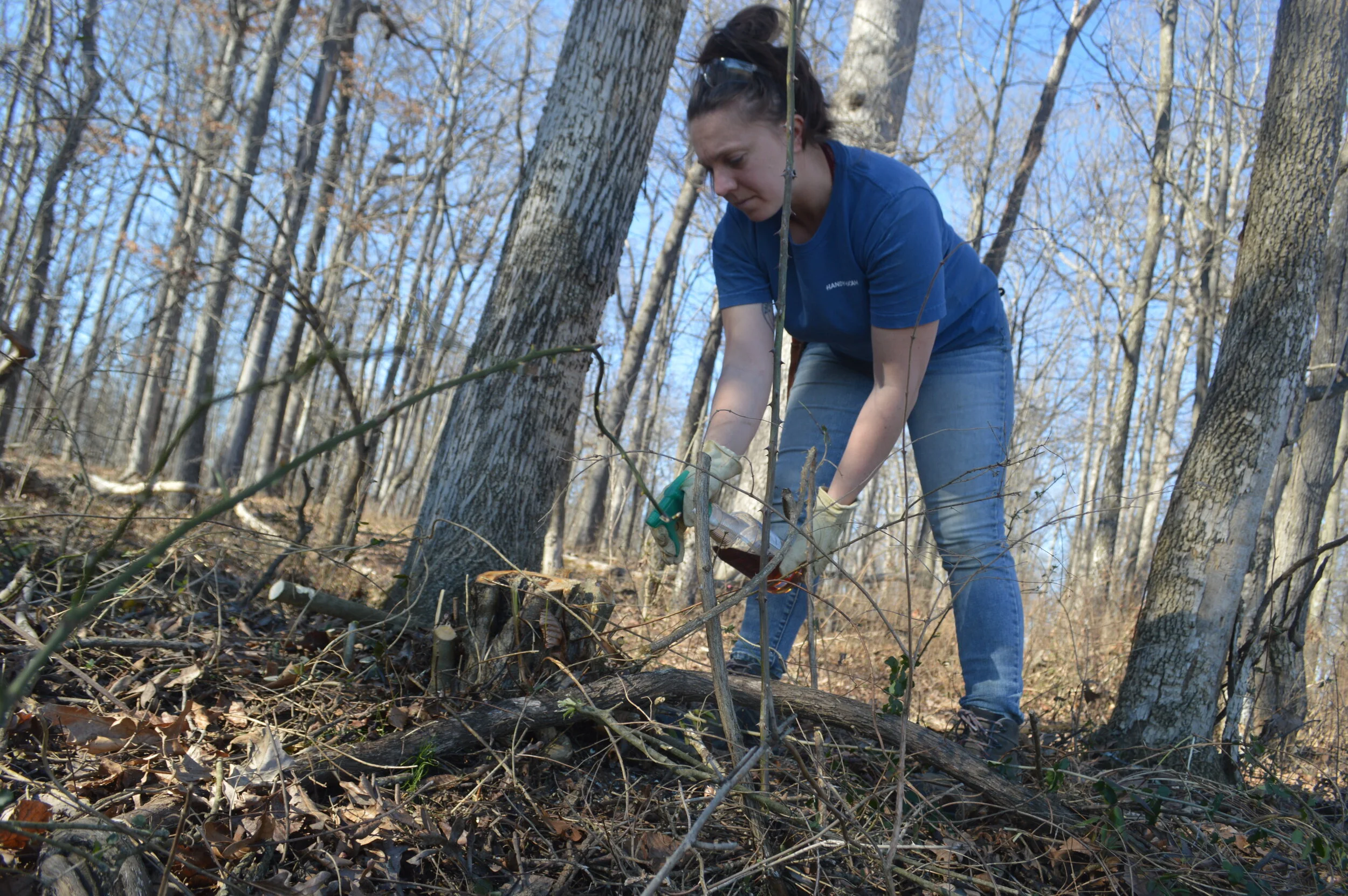 Oak Spring Garden Foundation - Battling Invasive Plant Species