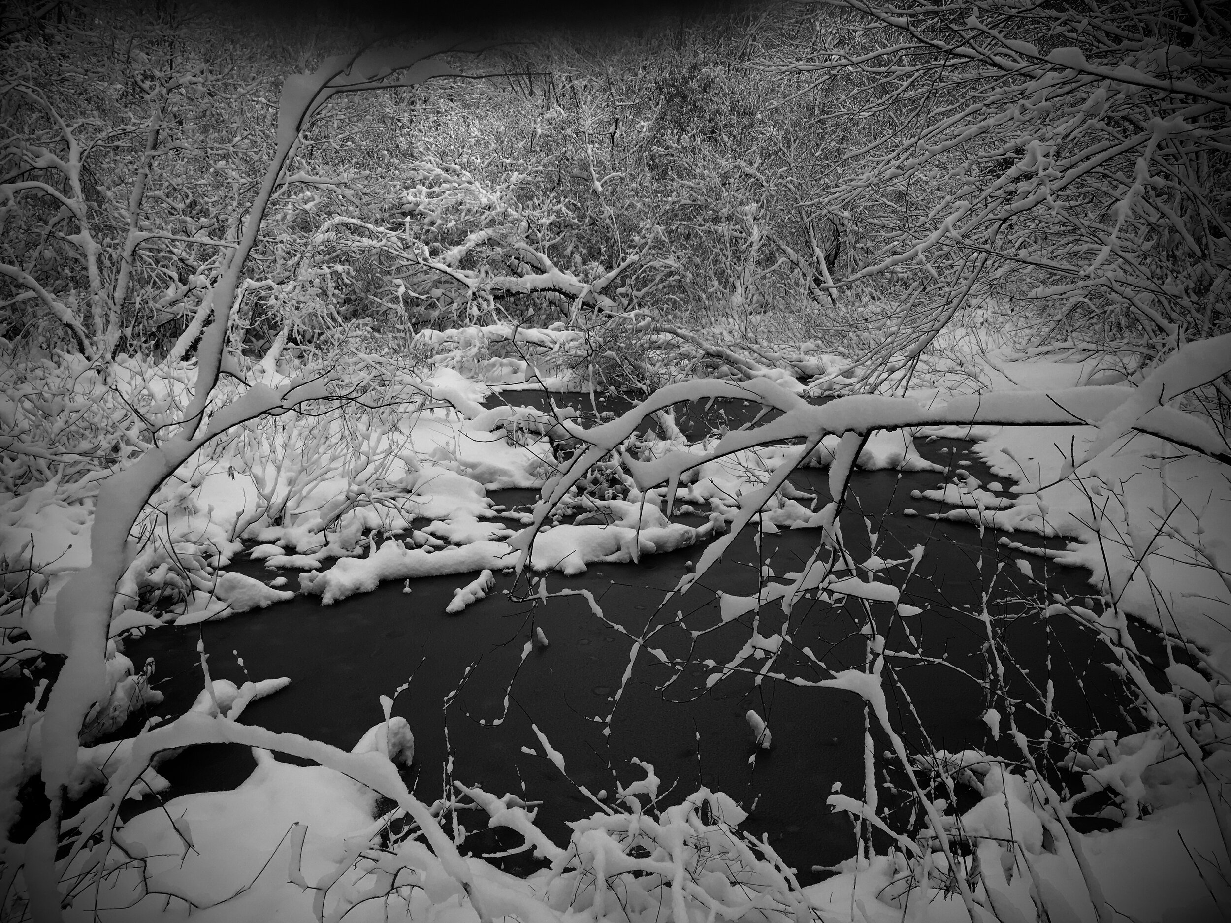 Frozen Vernal Pond