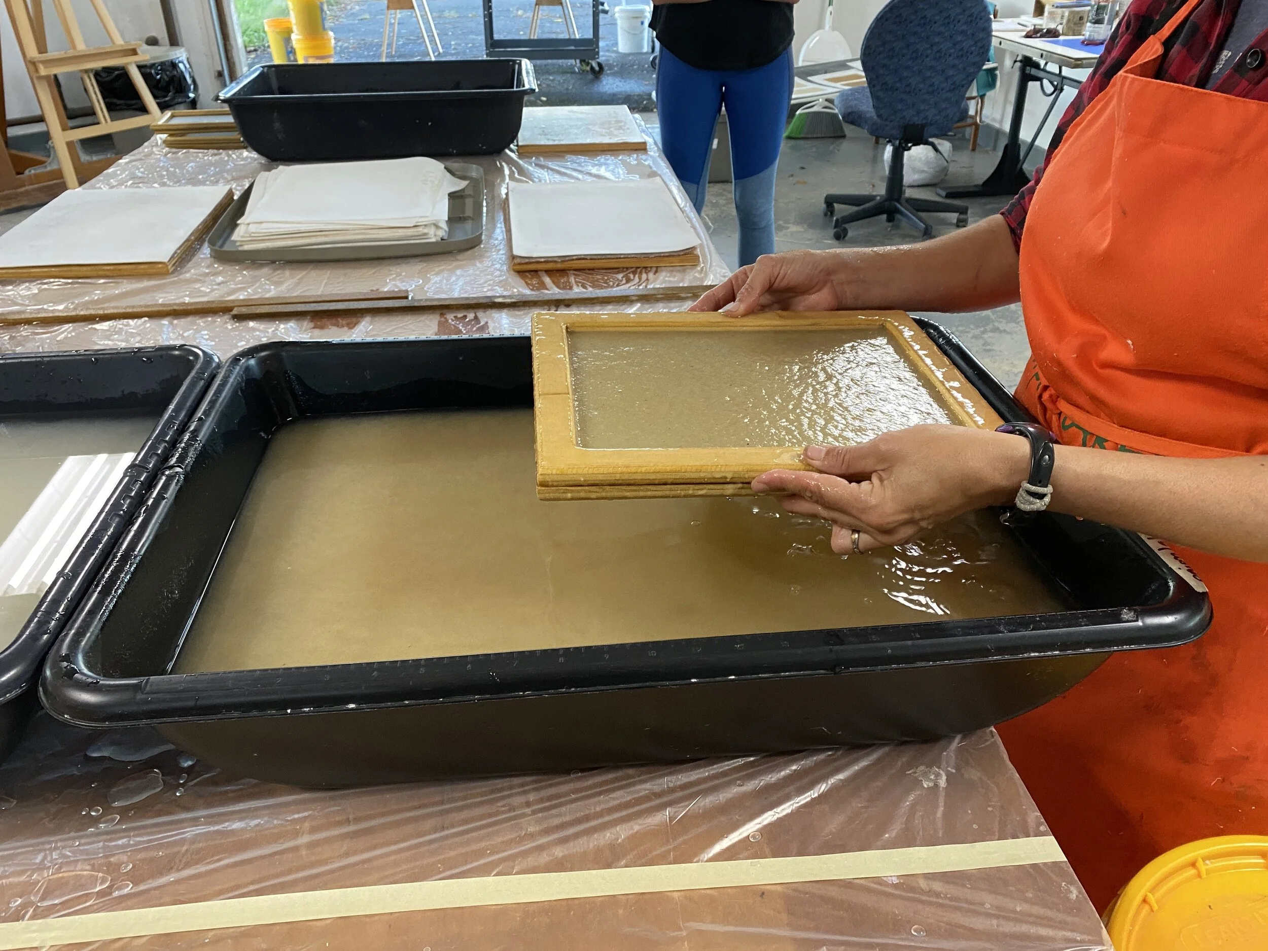 From Plants to Paper 