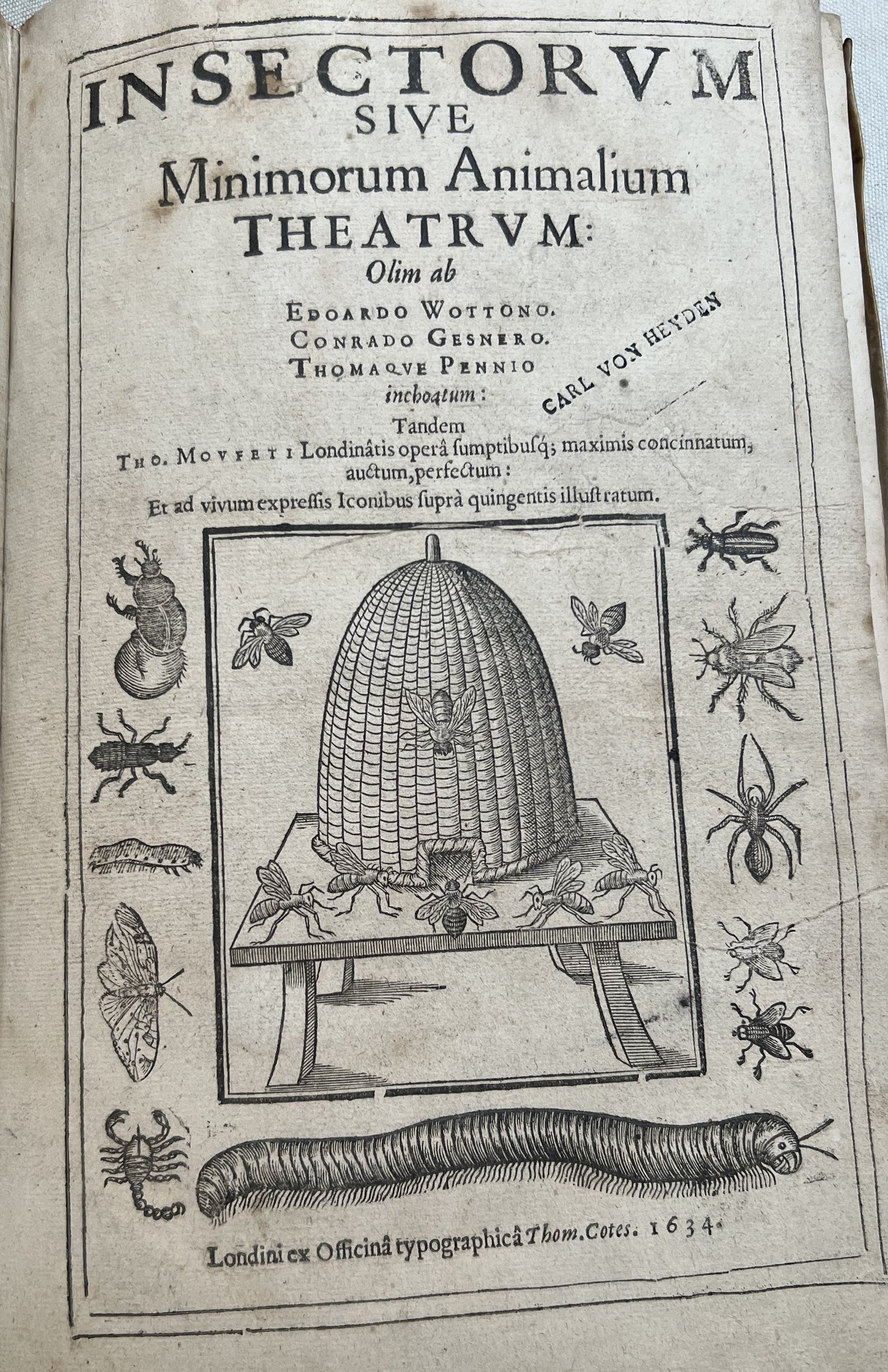 Oak Spring Garden Foundation - Creepy-Crawly History: Insect Books in ...