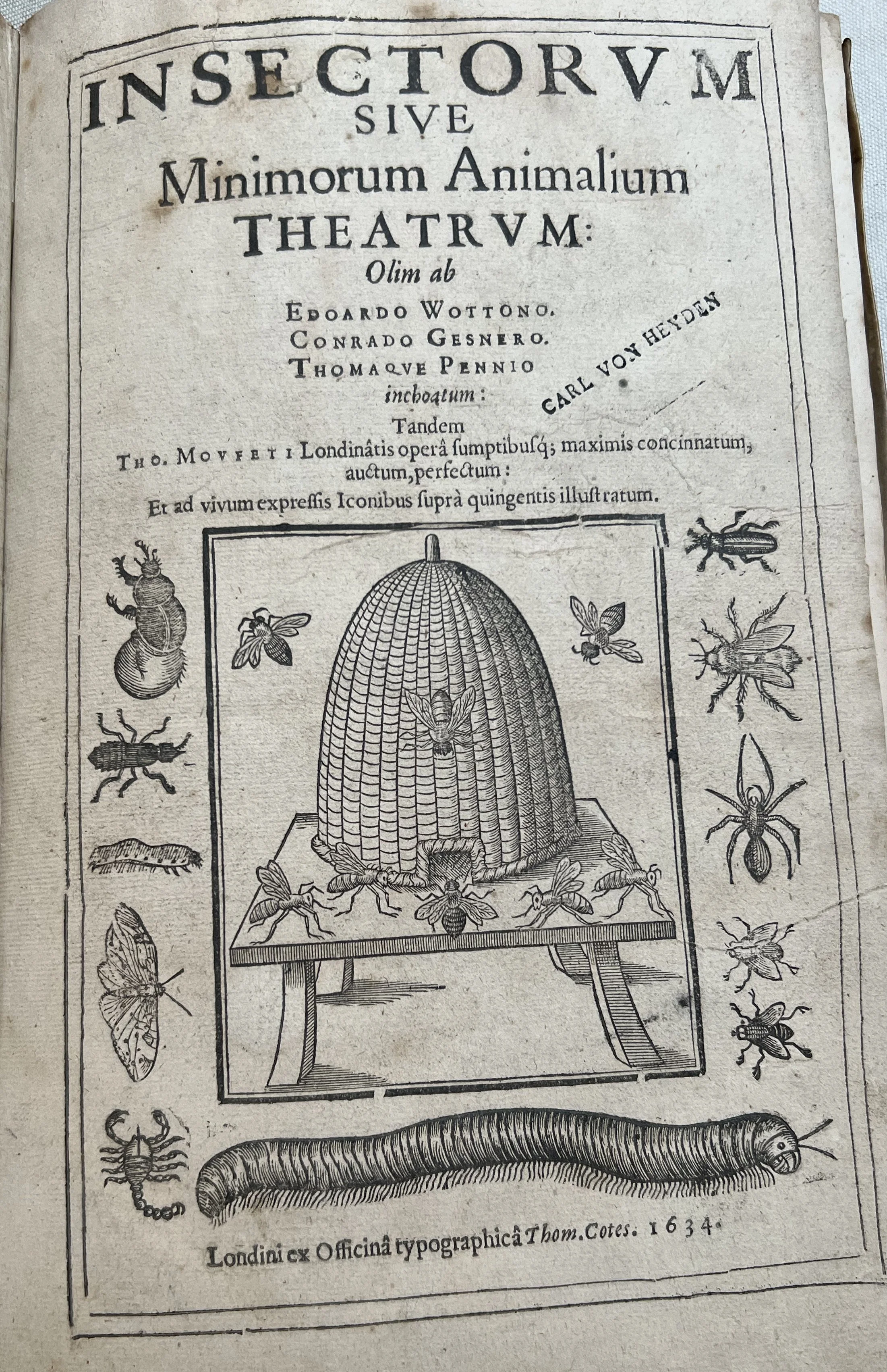 First Insects Book Oak Spring Garden Foundation - Creepy-Crawly History: Insect Books in ...