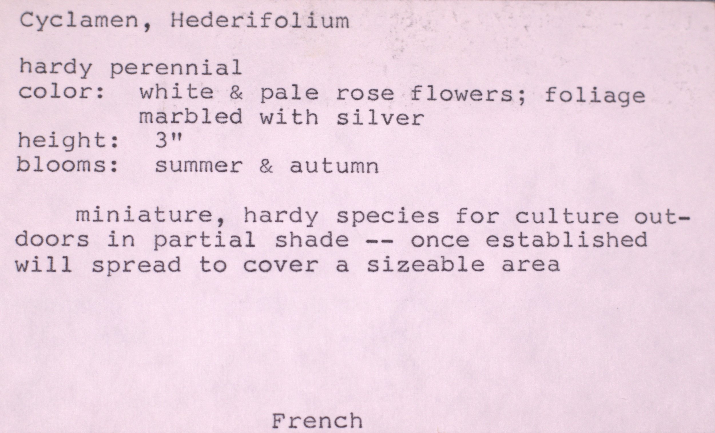  Index card used by Bunny and Garden Staff to record plantings.  