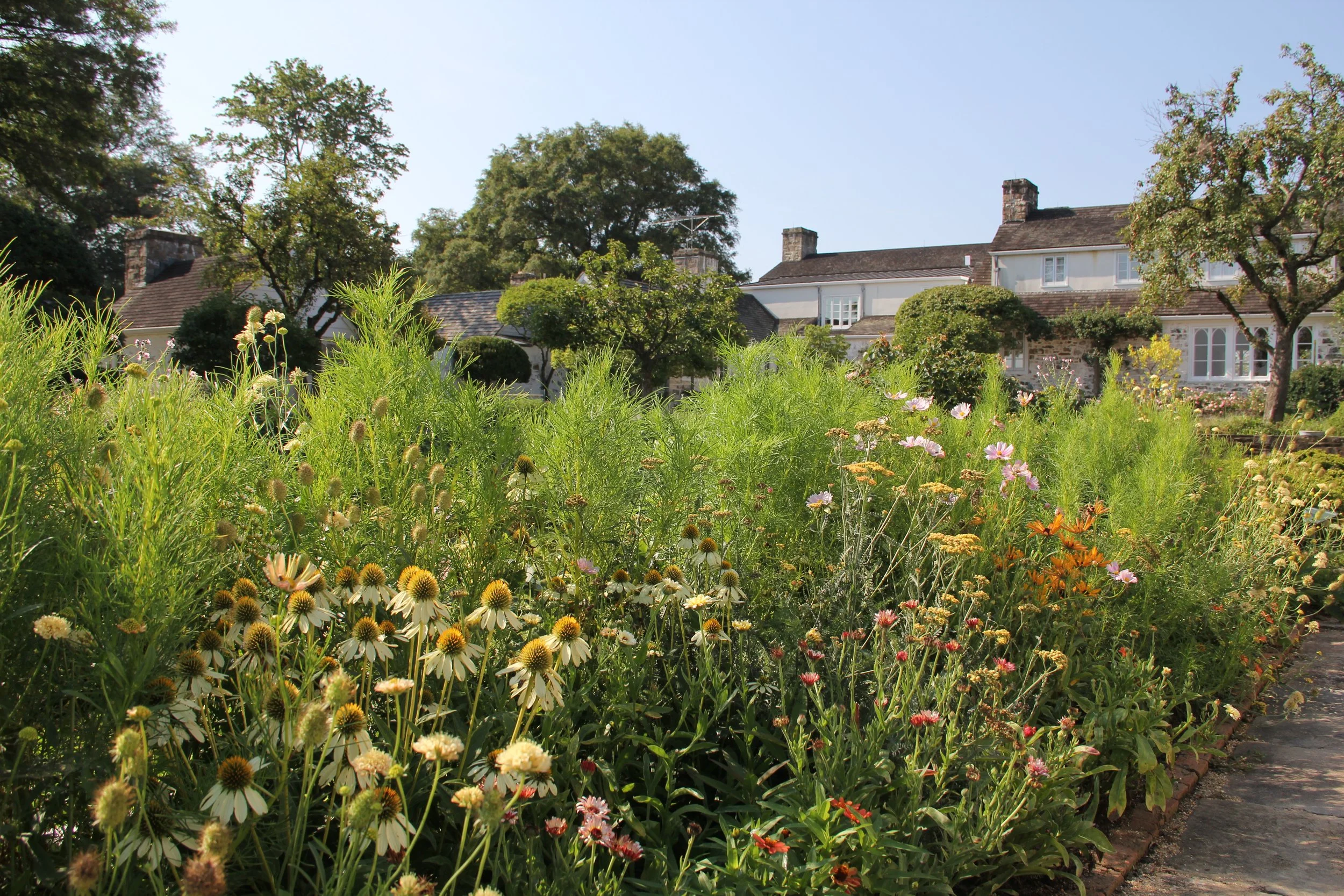 Herbaceous Plants of Little Oak Spring Residential Short Course