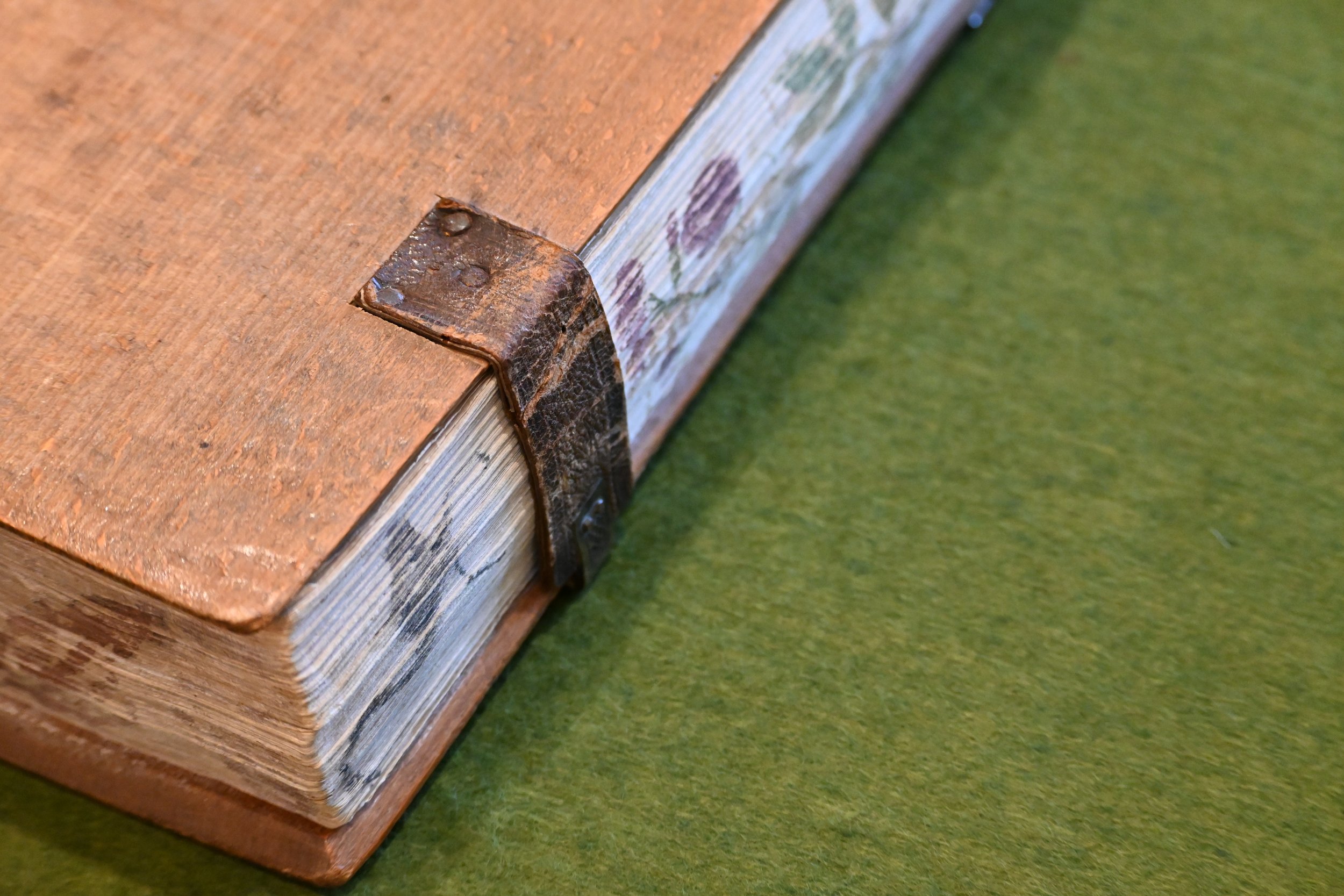  Fore edge painting of a Numidian crane, roses with leaves, and a lion by Cesare Vecellio (1521-1601), who was Titian’s nephew (Tiziano Vecellio, ca. 1488/90-1576).&nbsp; 