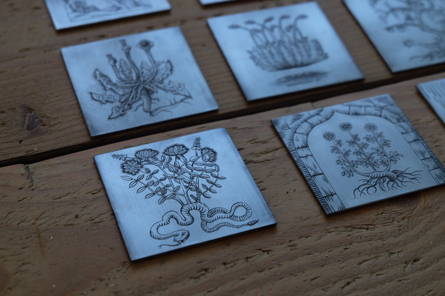  “I was really inspired by a lot of the books in the collection […] I would engrave these little plates based off of some of the plant specimens I was seeing.” -Brien Beidler 