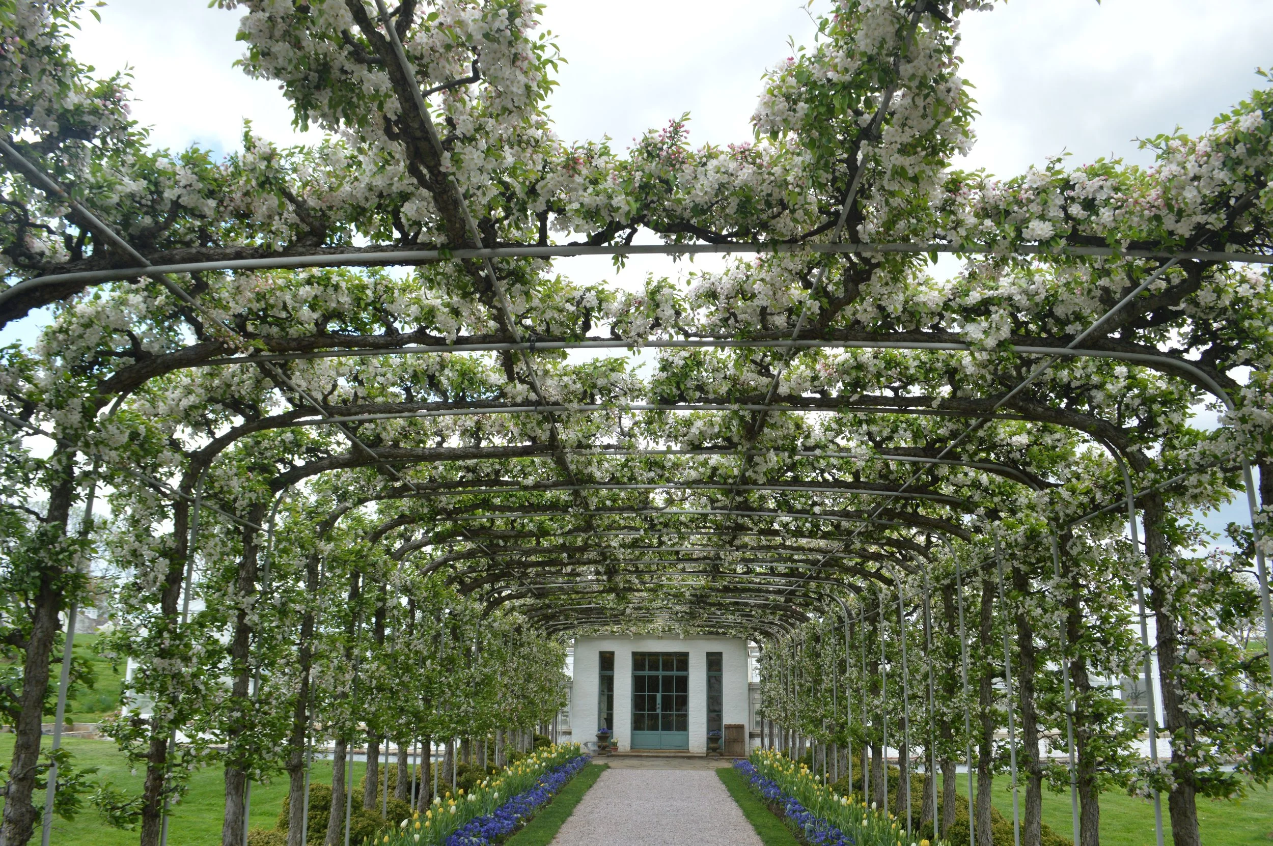 Reflections of a Horticultural Apprentice