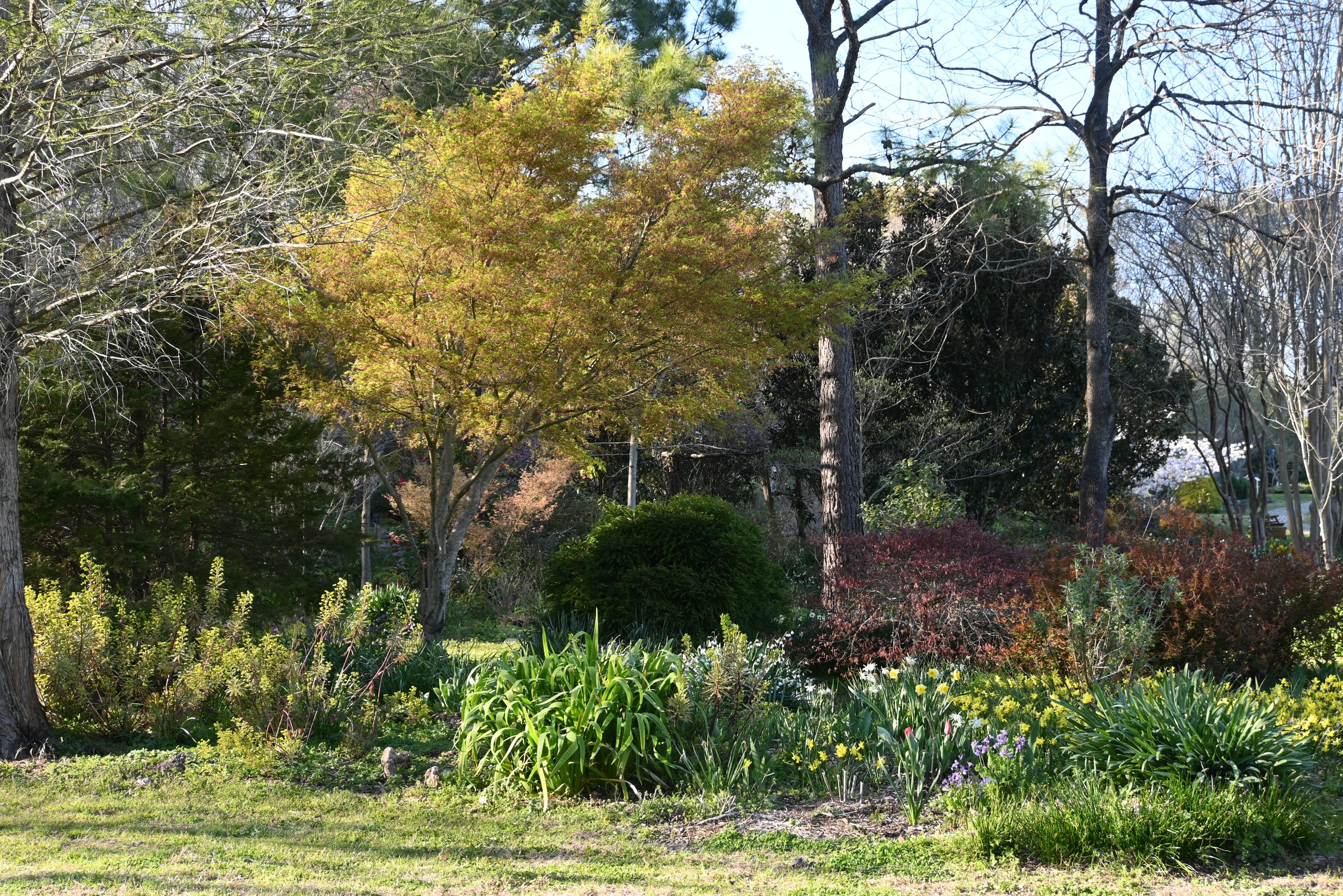  In the otherwise flat landscape, hills were constructed using on-site materials to add some variation and more woody trees and shrubs.  