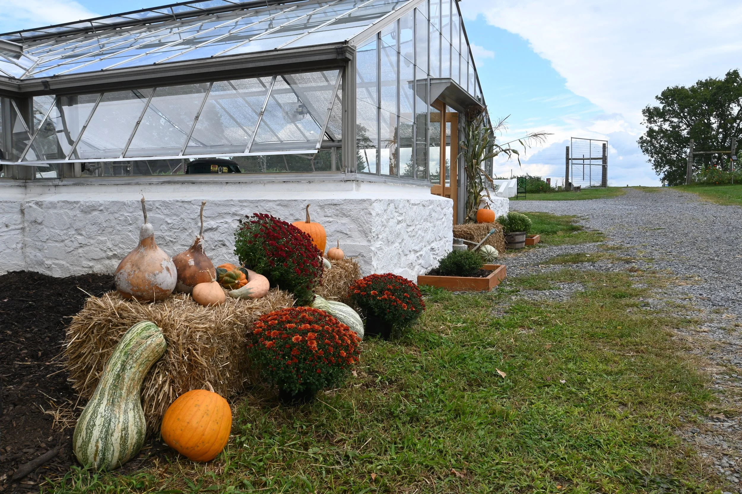 Rokeby Farm and Oak Spring Garden Fall Tours
