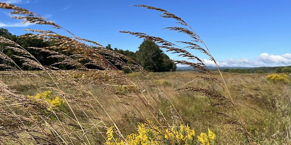 Exploring the Layers of the Landscape