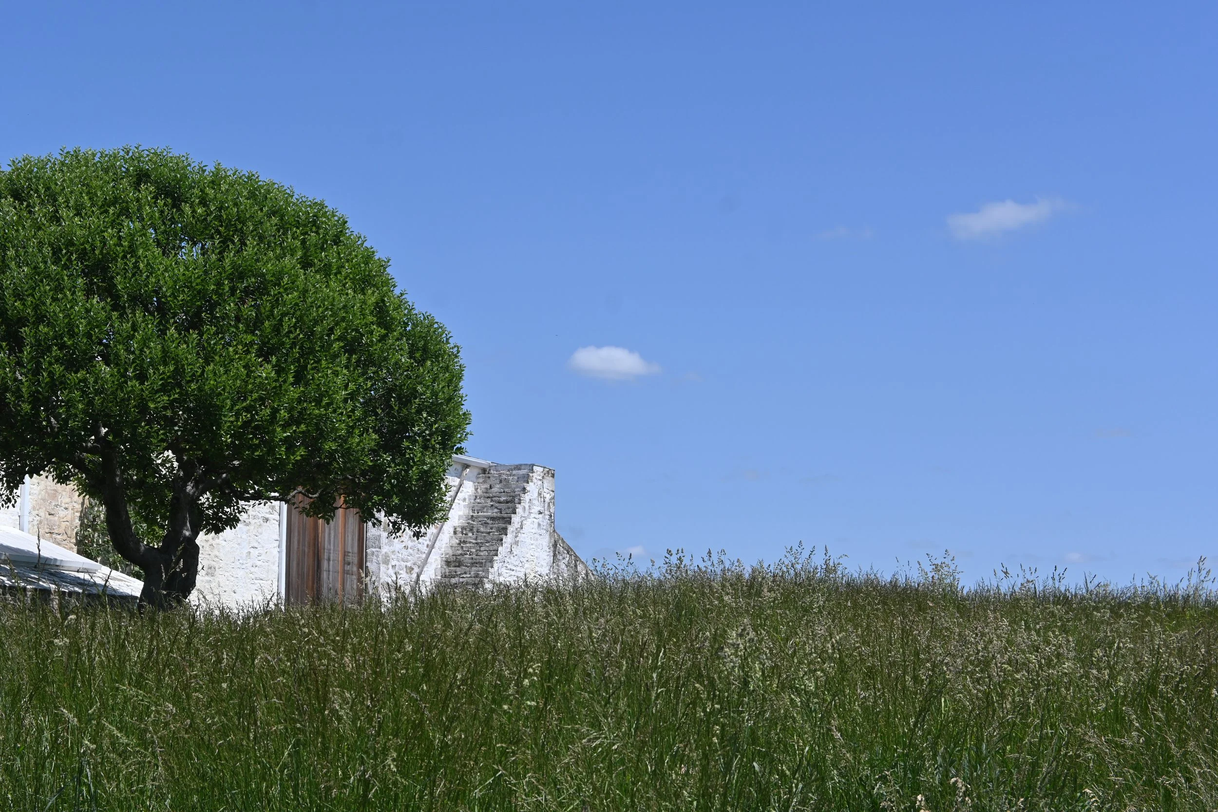 Salem Twiggs: A Reflection on Time