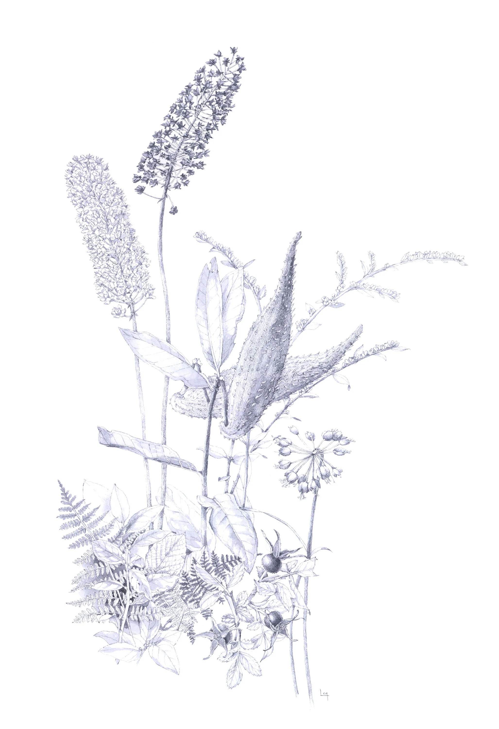 Spring Ephemerals: a Spring Watercolor Class with Lara Call Gastinger