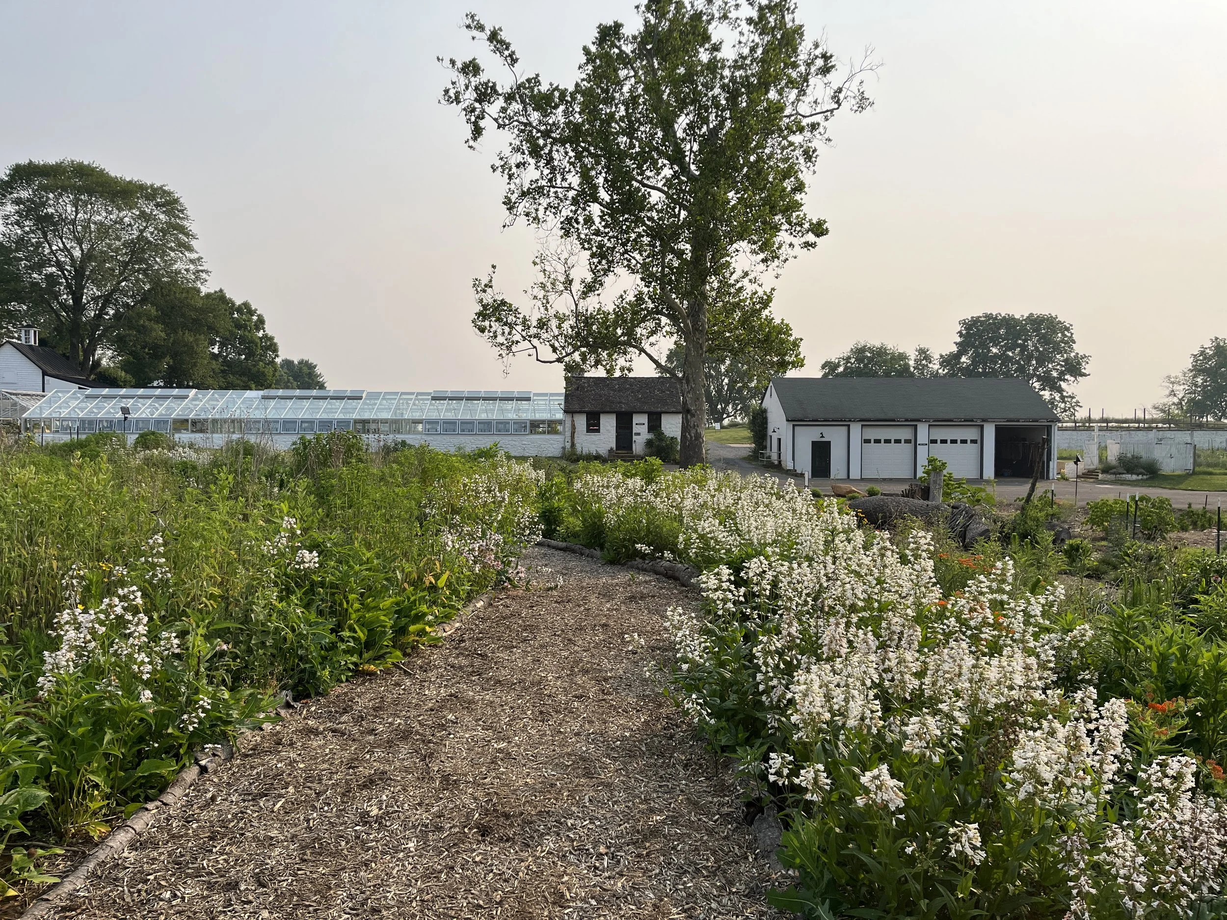 Inviting in Nature: The Rokeby Habitat Garden
