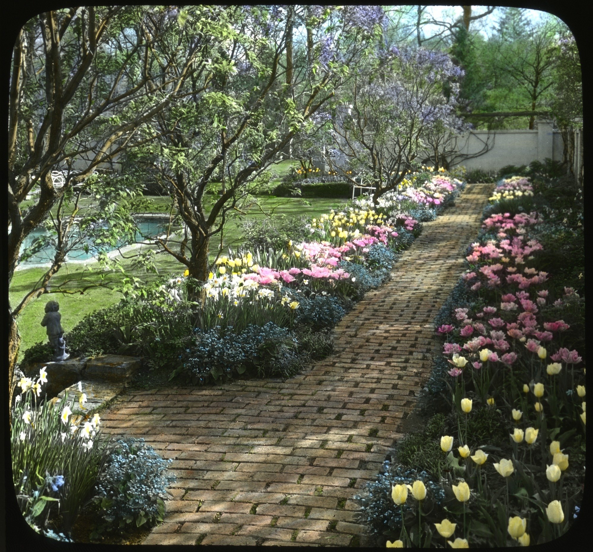 GardenImage4.jpg