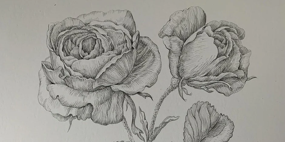 Drawing From History: The Art of Silverpoint in The Royal Lessons