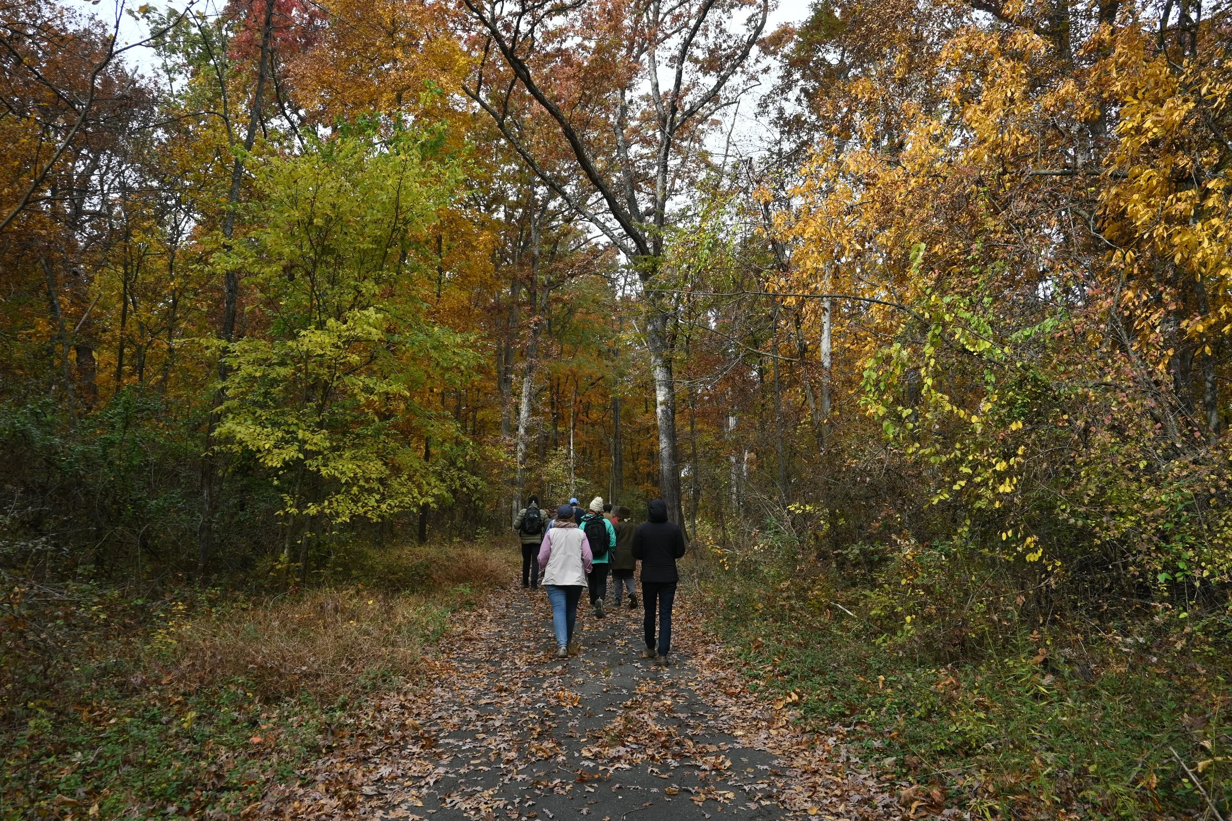 Reading the Landscape