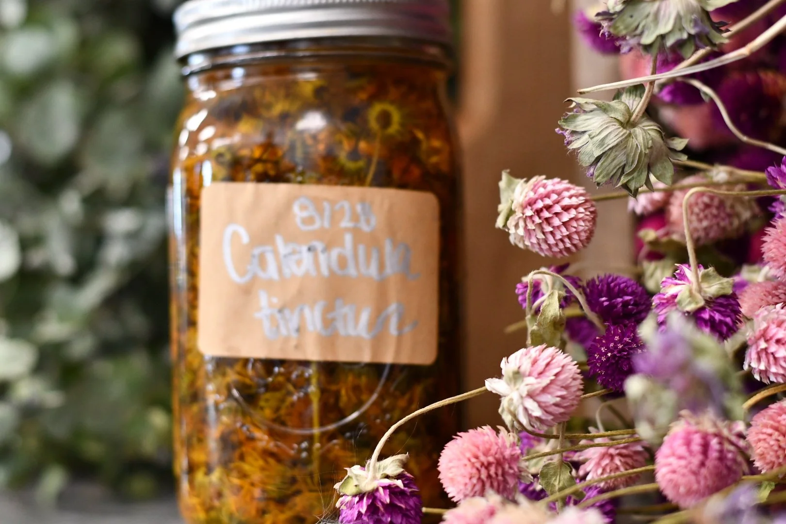 The Curative Power of Plants: Medicinal Herbal Recipes 