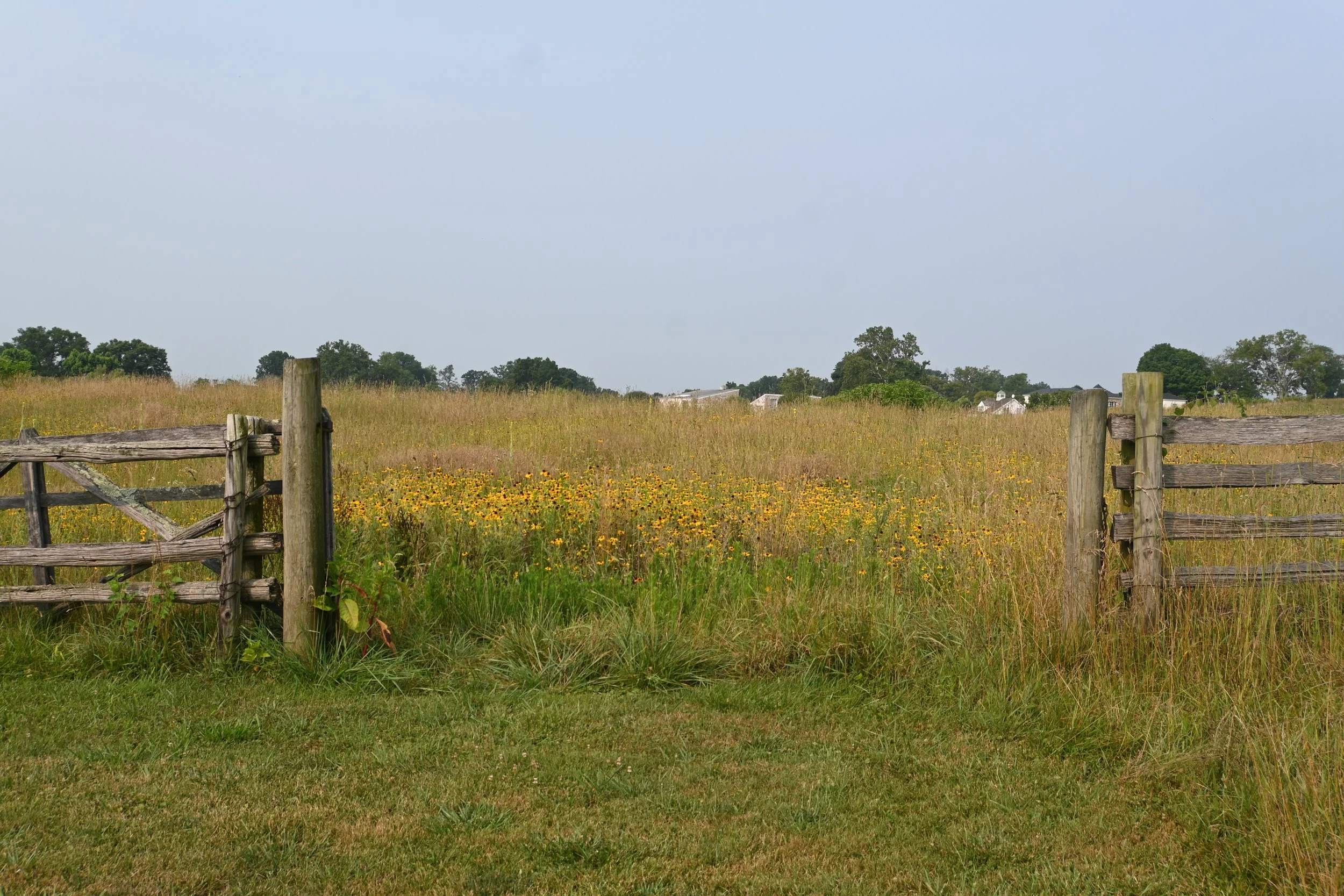 Oak Spring Garden Foundation Announces 2024 Fellows