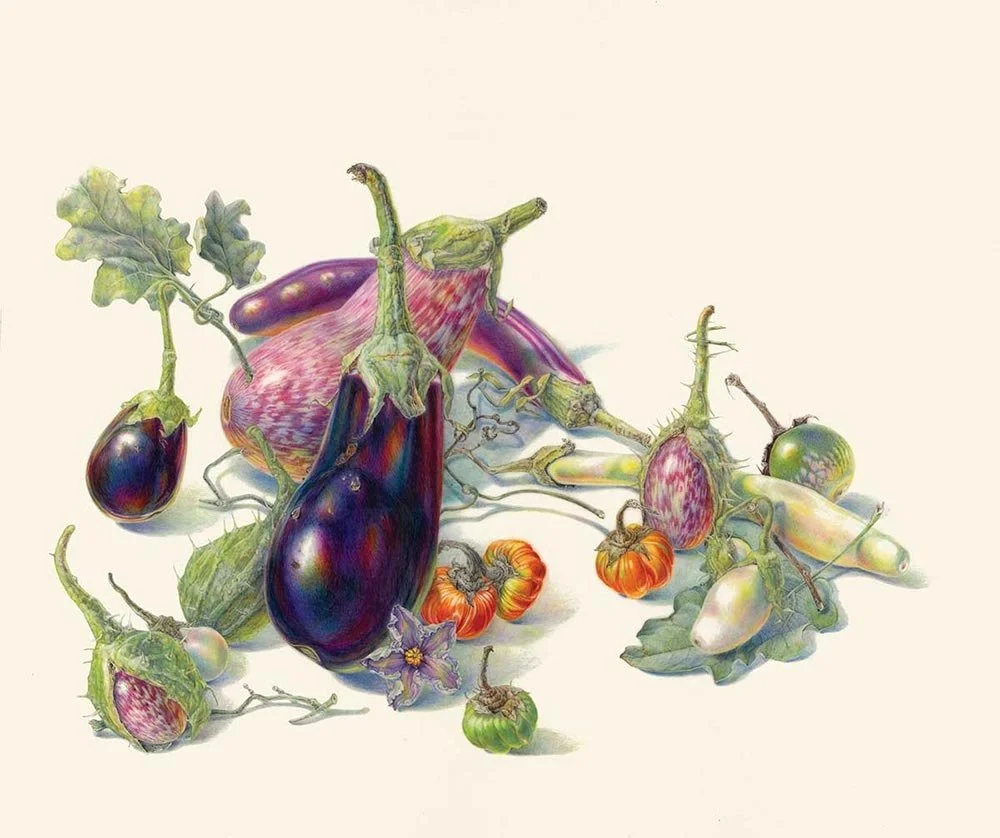 Abundant Future: Cultivating Diversity in Garden, Farm & Field