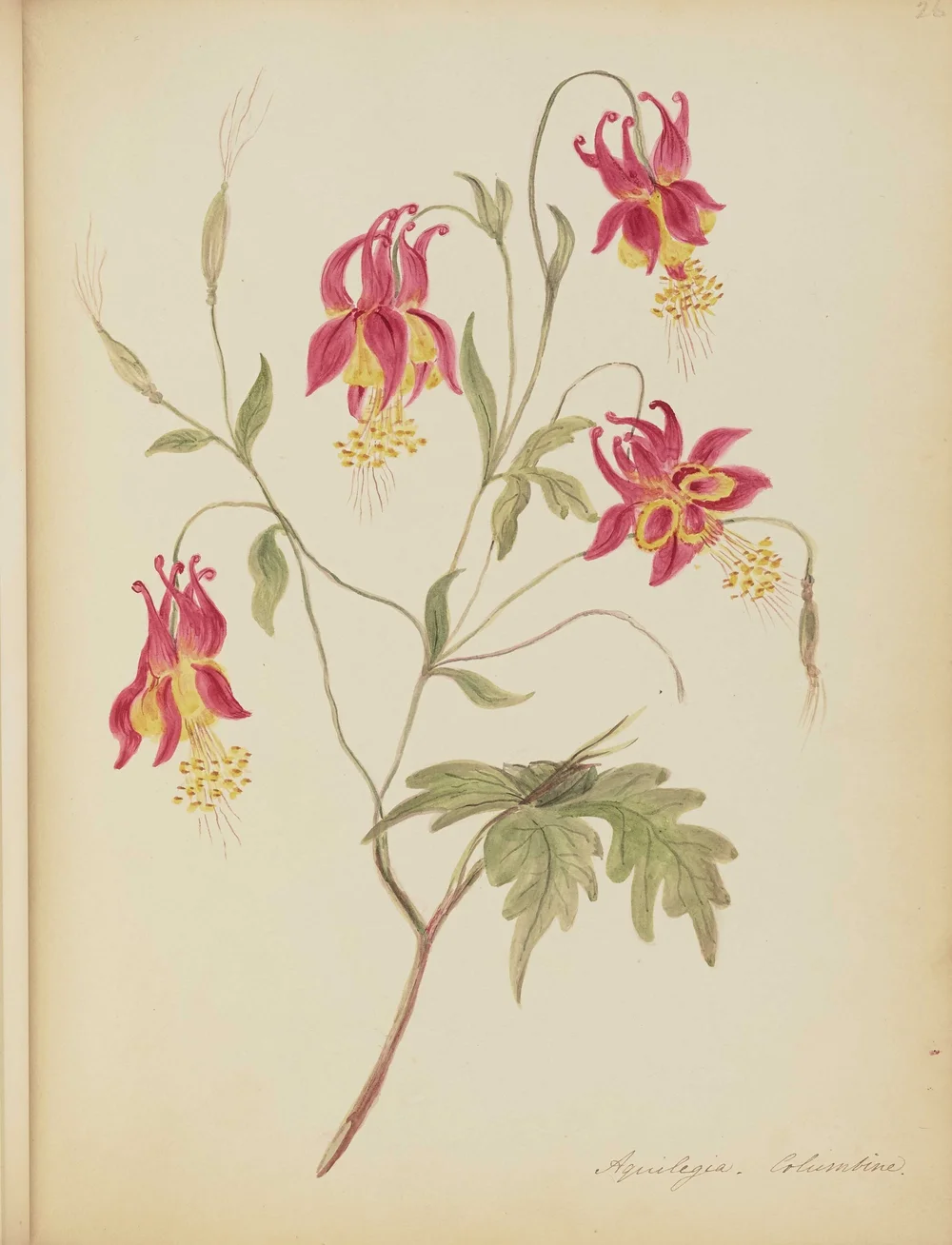 Nourse7825_32 copy.jpg