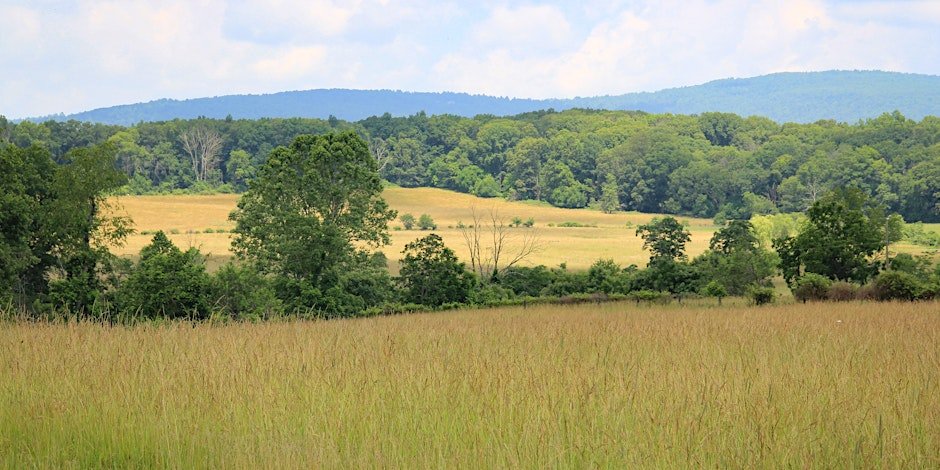 Paint Out: In the Landscape - Independent Work Session for Artists