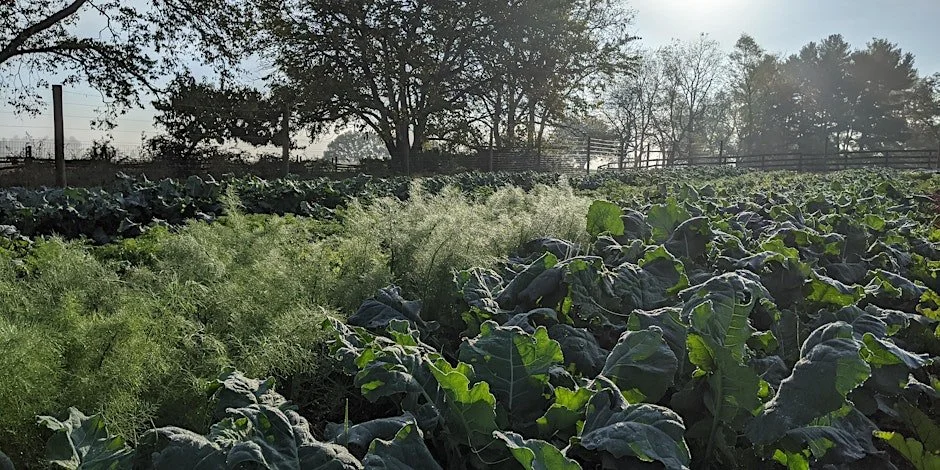 4th Annual Celebrating the Harvest - A Farm to Table Dinner