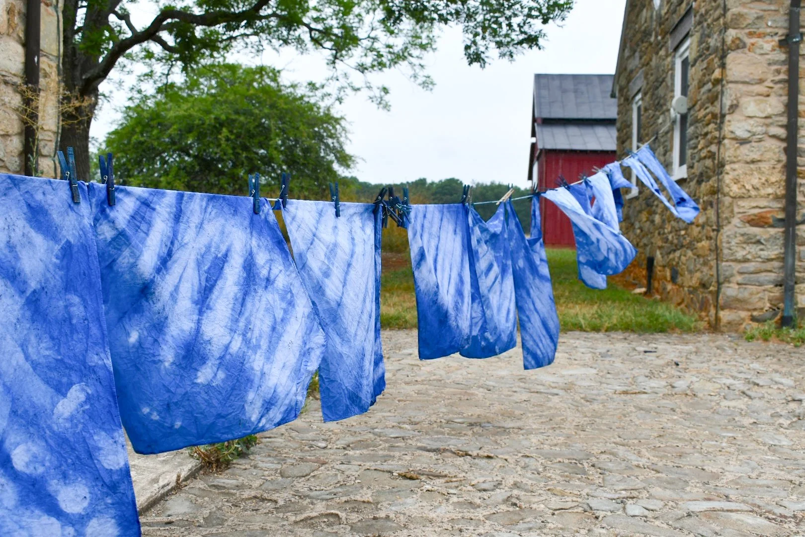 Natural Dyes from Garden Plants