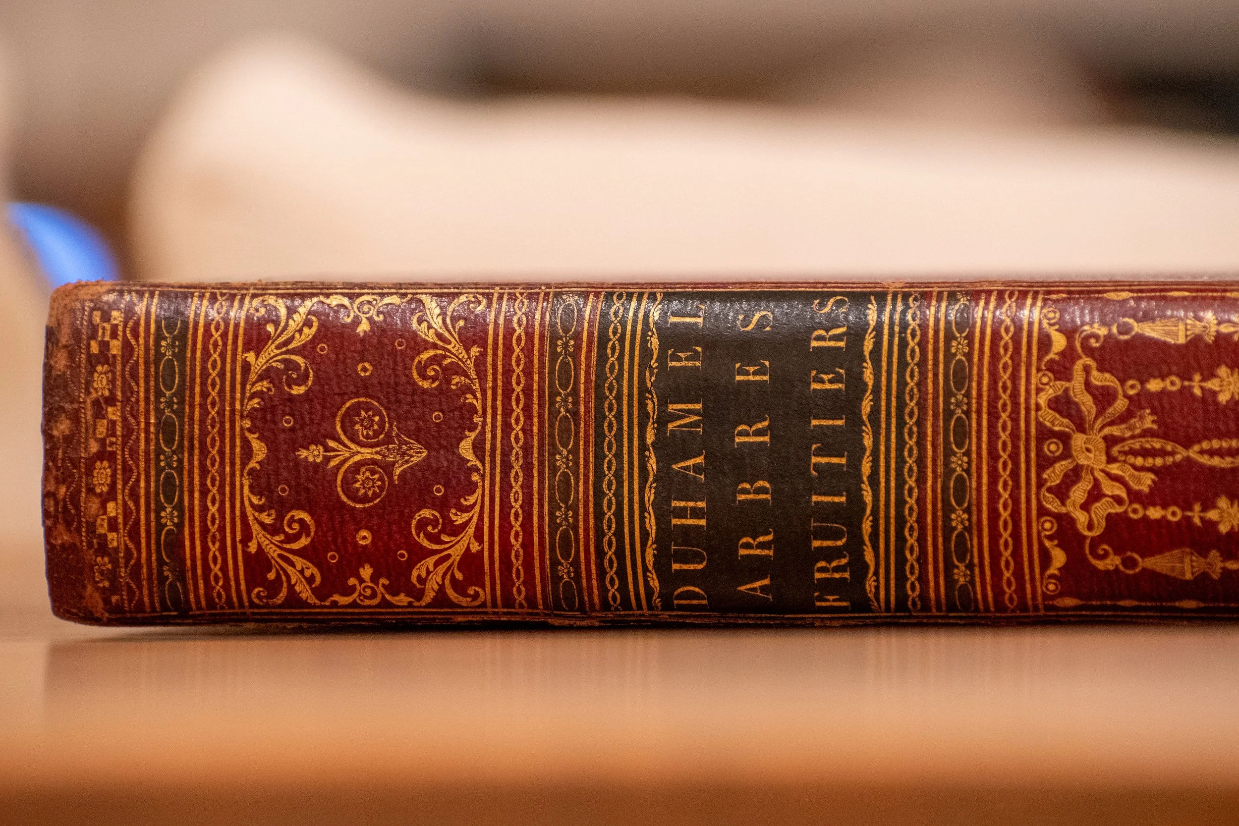  1768 Traité des Arbres fruitiers by Henri Louis Duhamel du Monceau (French, 1700–1782). 