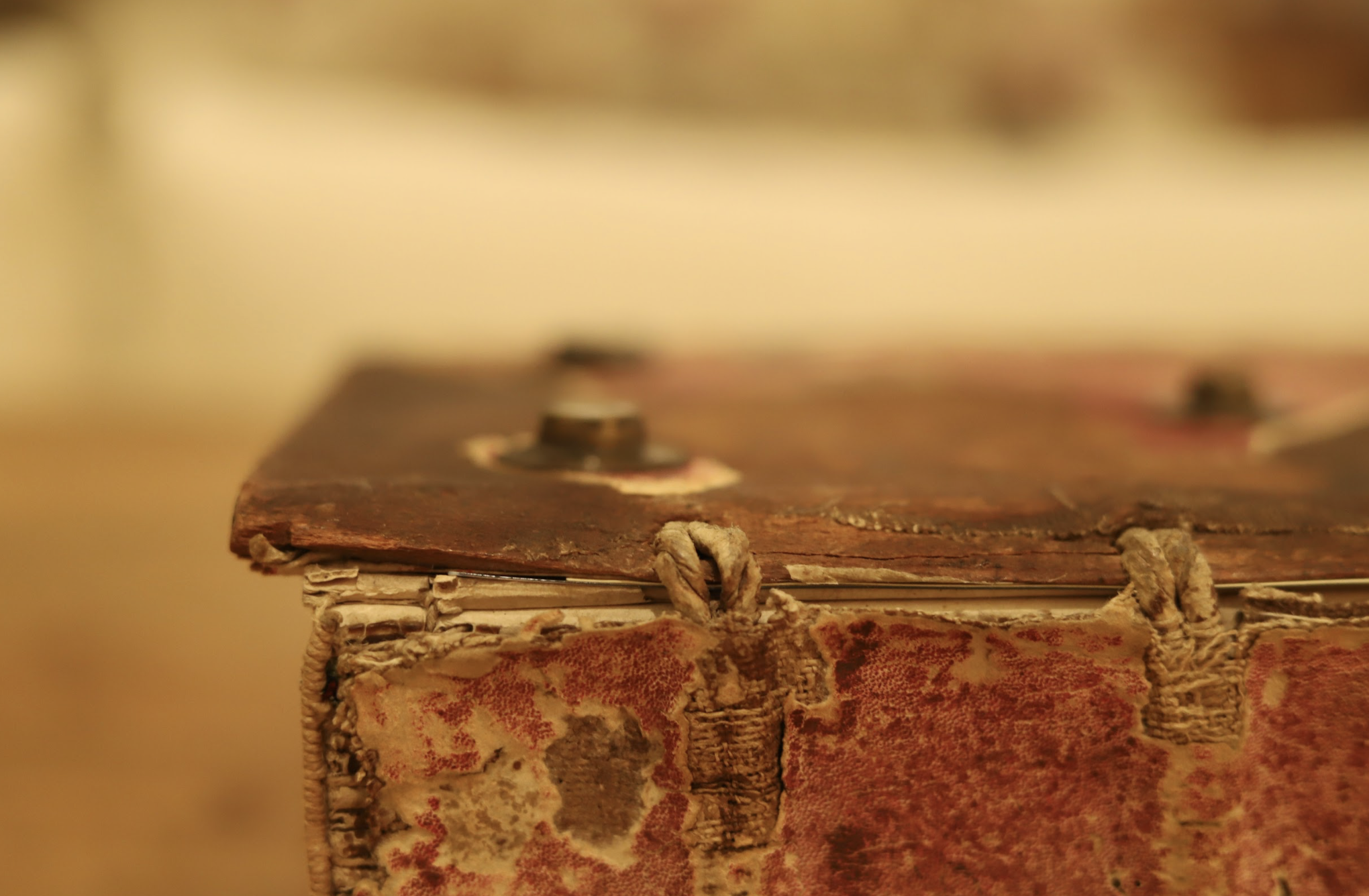  14th-century German manuscript,  Buch de Natur , attributed to Konrad von Megenberg (German, 1309–1374). 