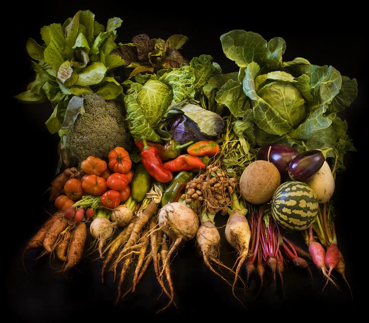 Thomas Jefferson Birthday Celebration with Peter Hatch