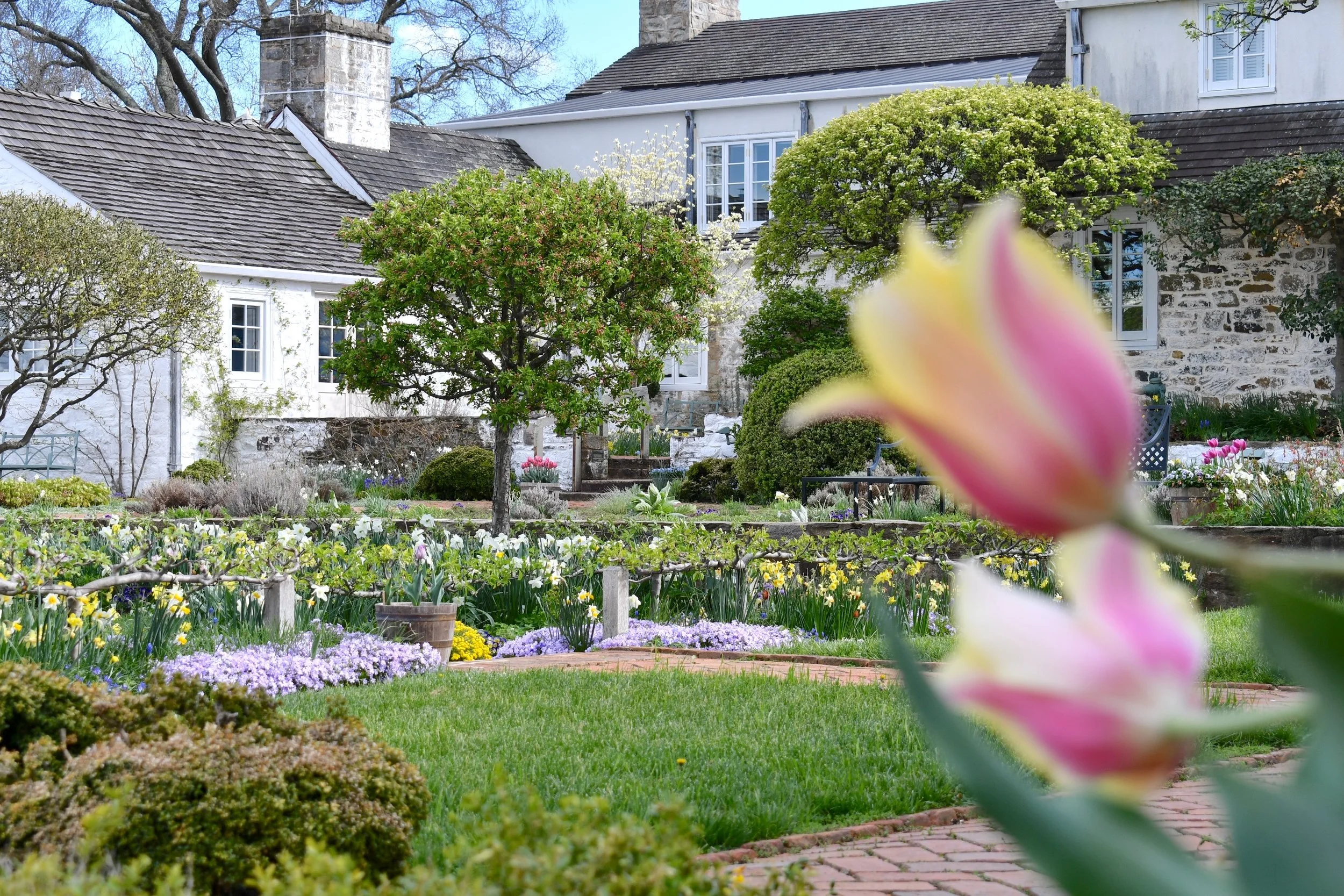 Story Time in the Formal Garden