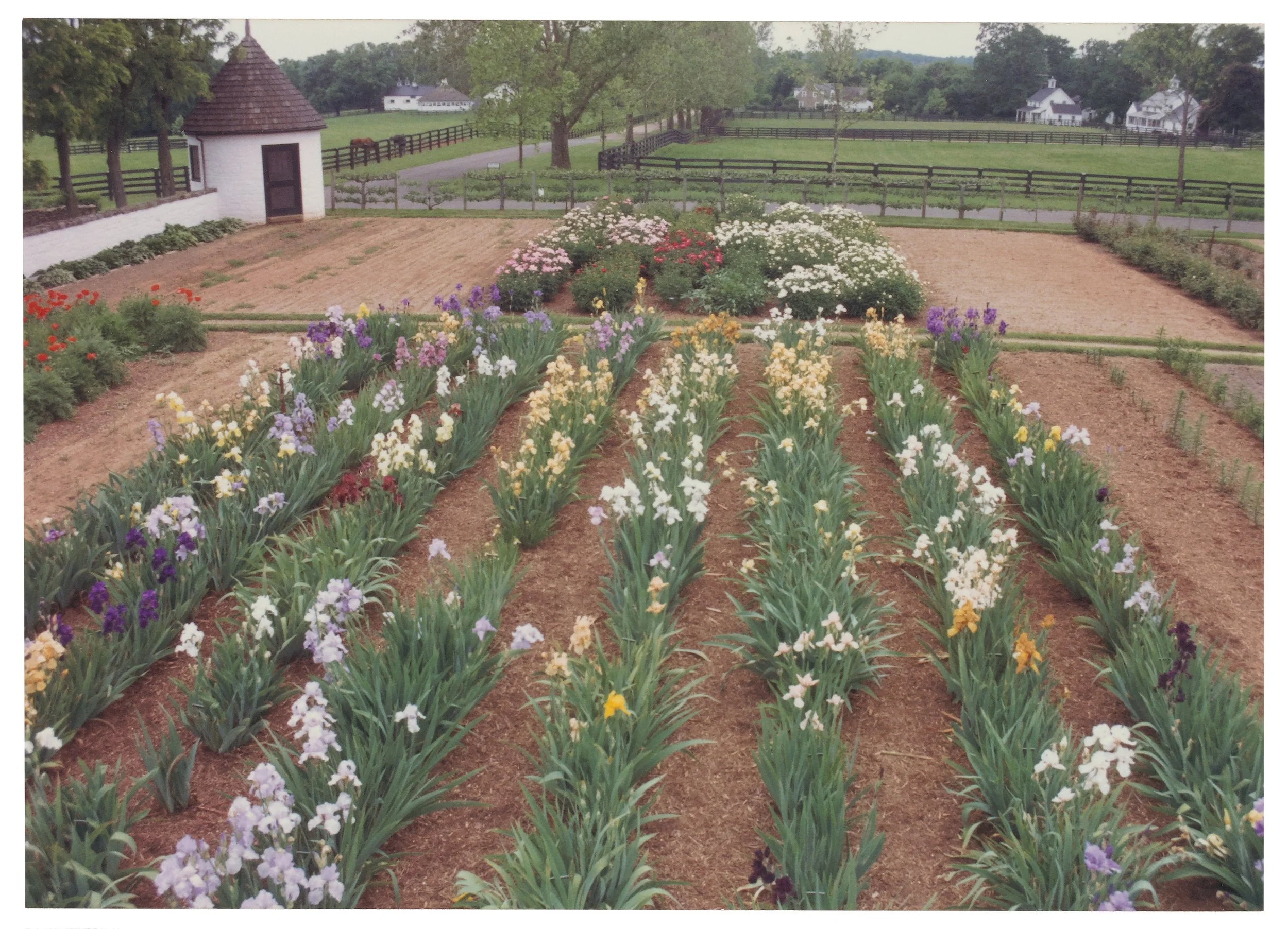 The Mellon Edit: A Special Plant Sale &amp; Garden Viewing