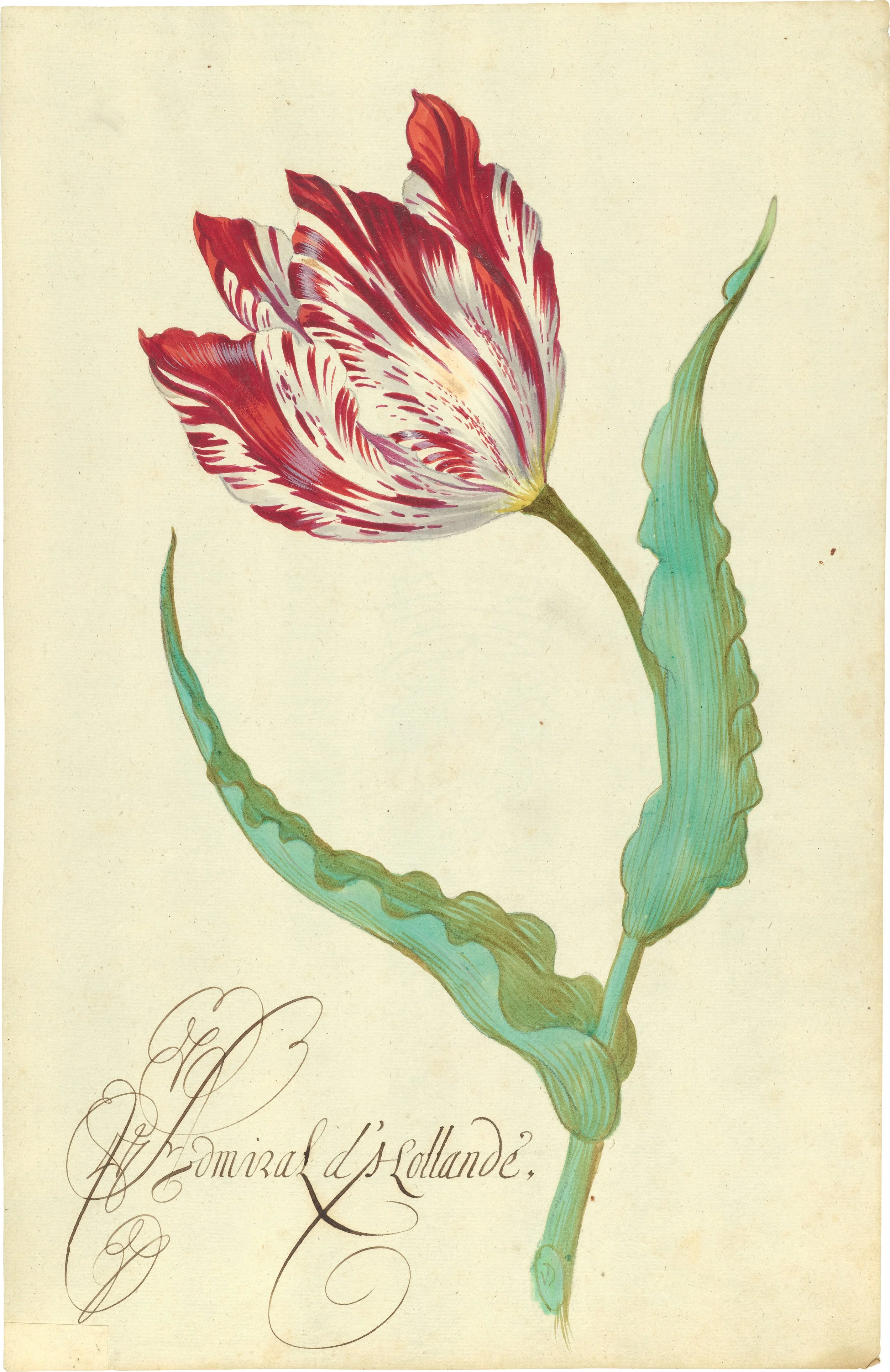Painting the Tulip: Behind the Scenes Tour and Conversation with Artist Sarah Horowitz