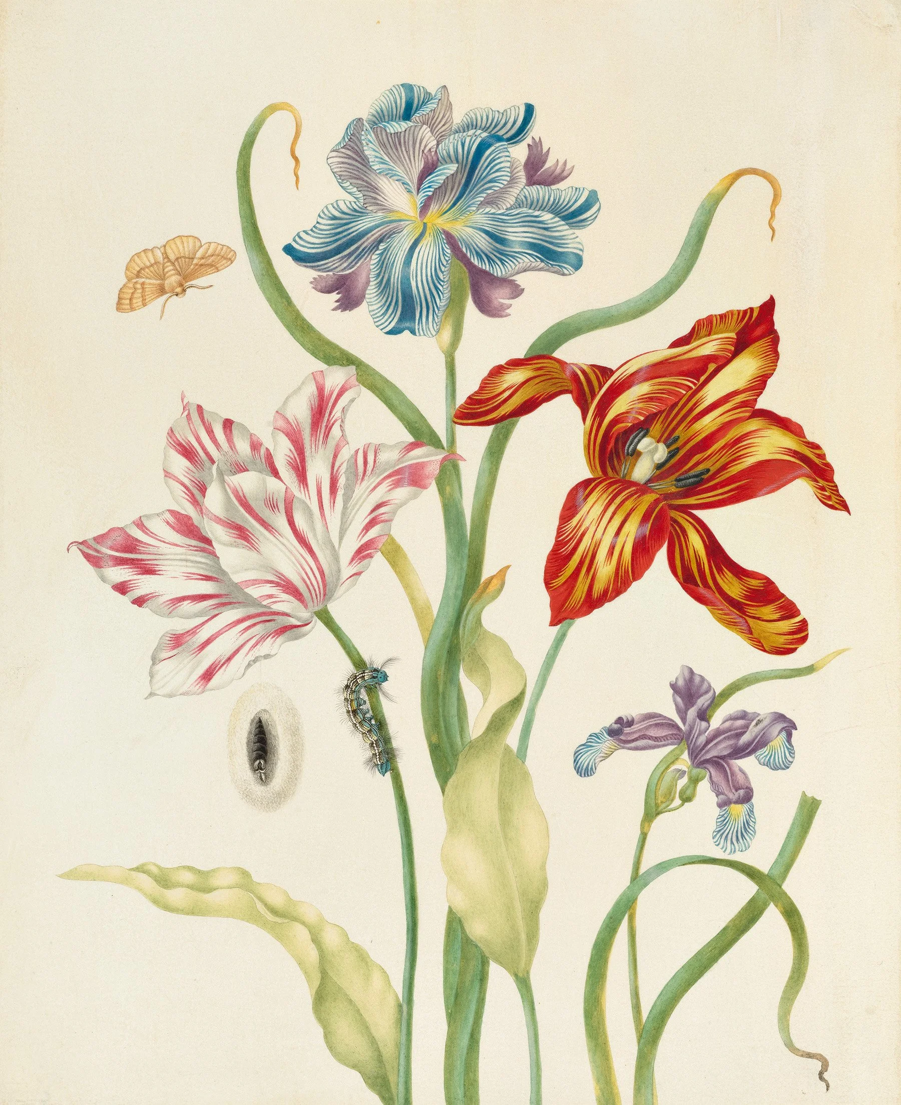 Painting the Tulip: Opening Reception
