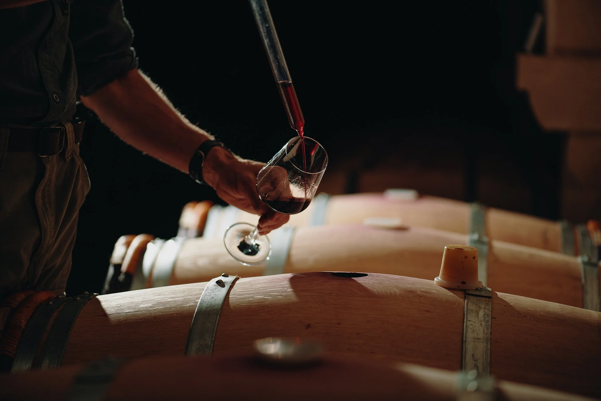 Vine to Glass: Viticulture at Oak Spring with Lost Mountain Vineyard