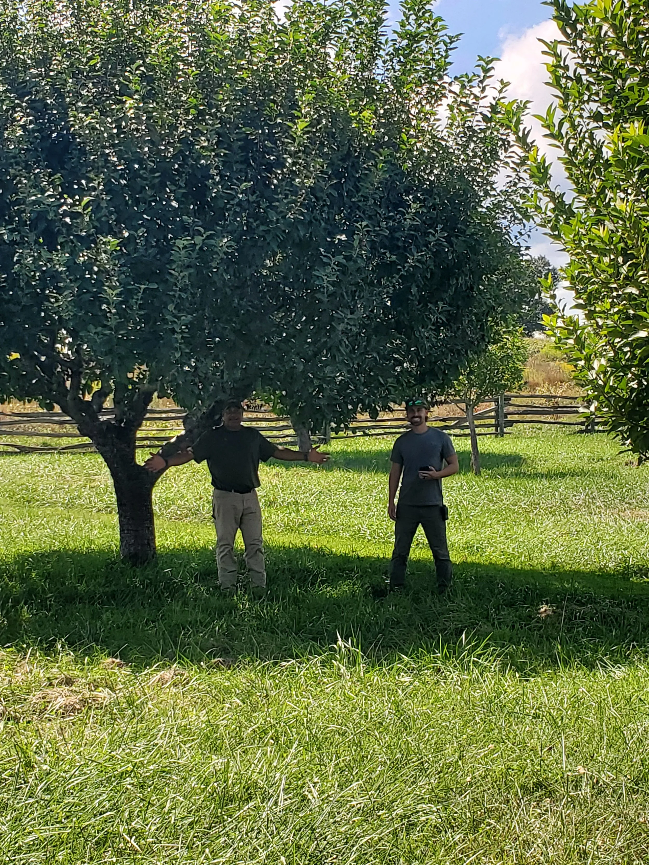 Revisit_Orchard.jpg