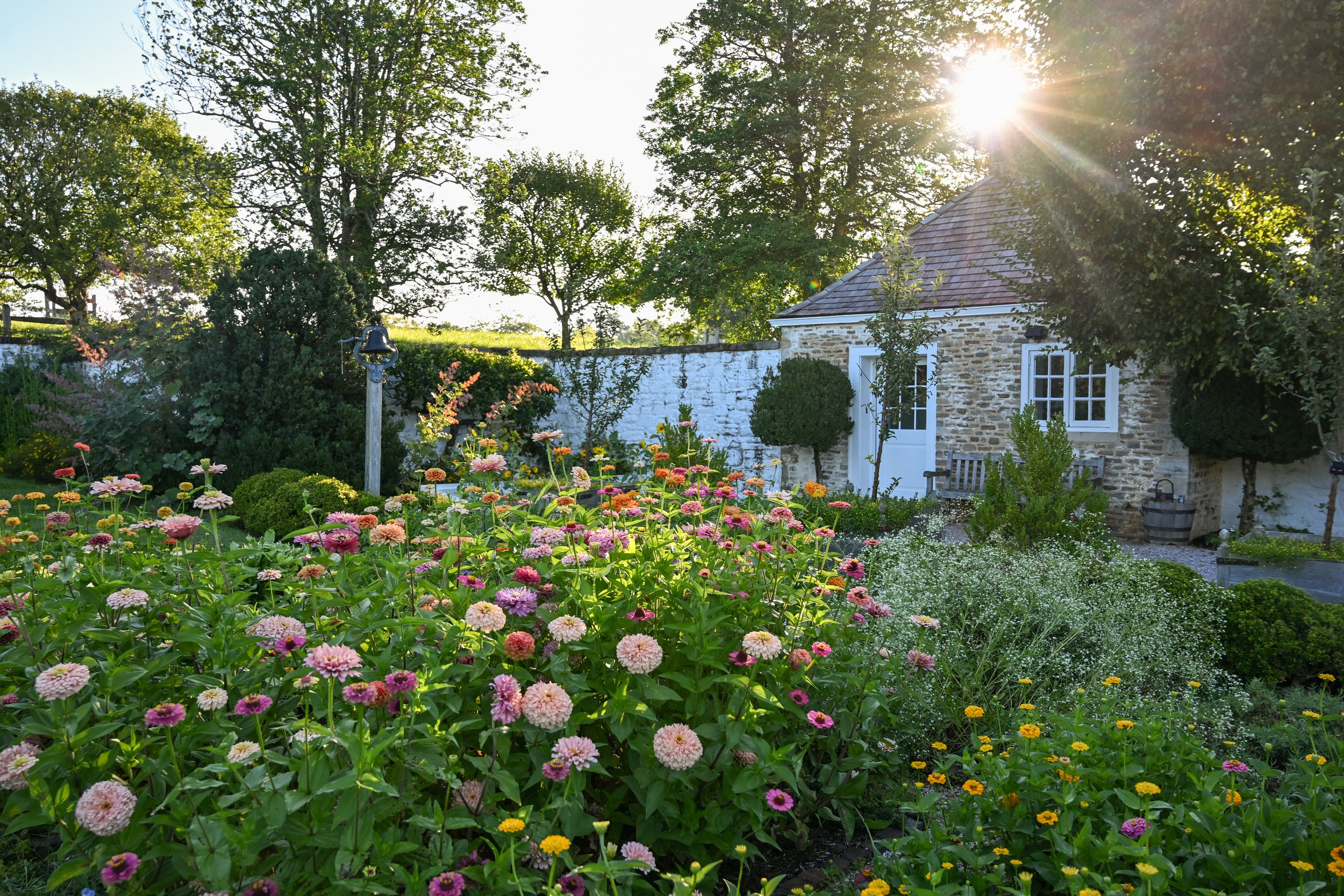 Gardens as Spaces of Healing: Virtual Program