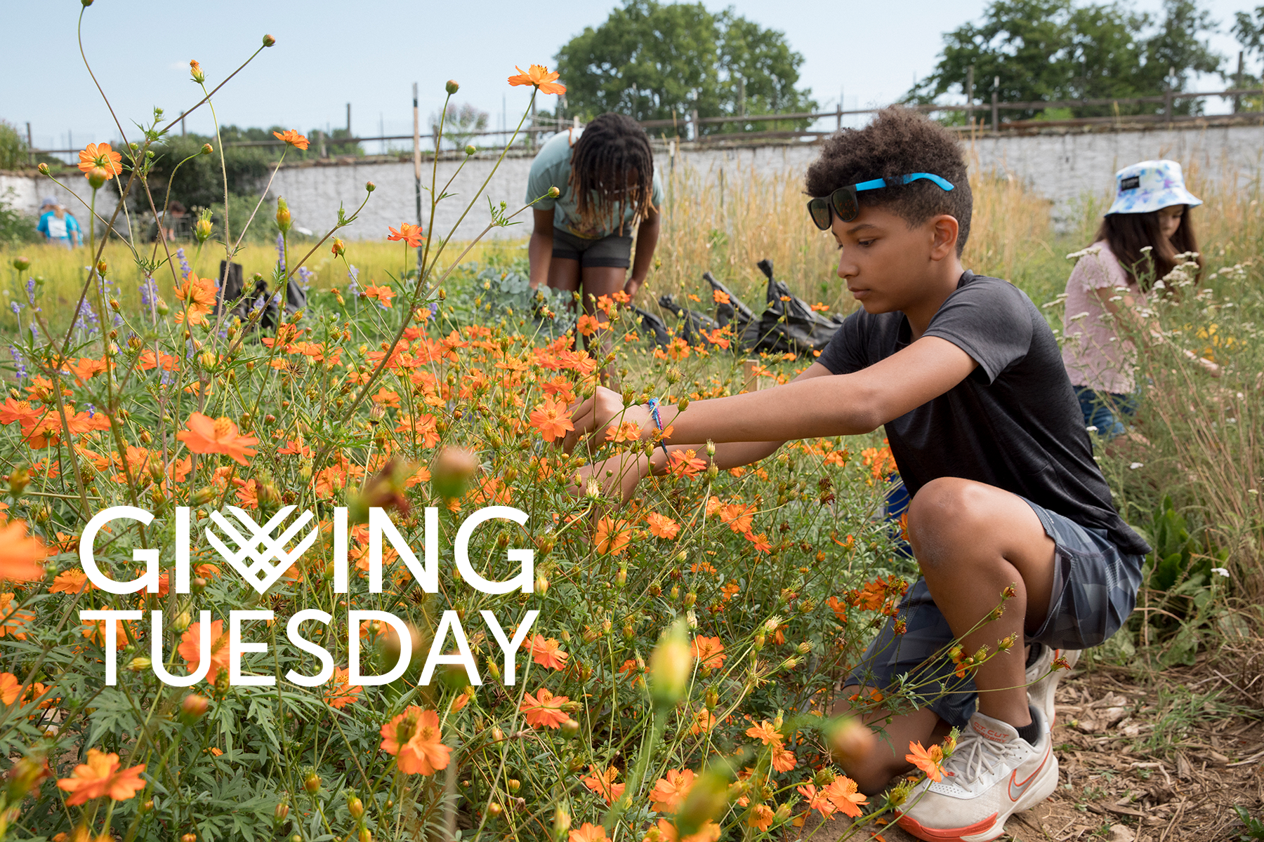 Support Our 2026 Giving Tuesday Campaign