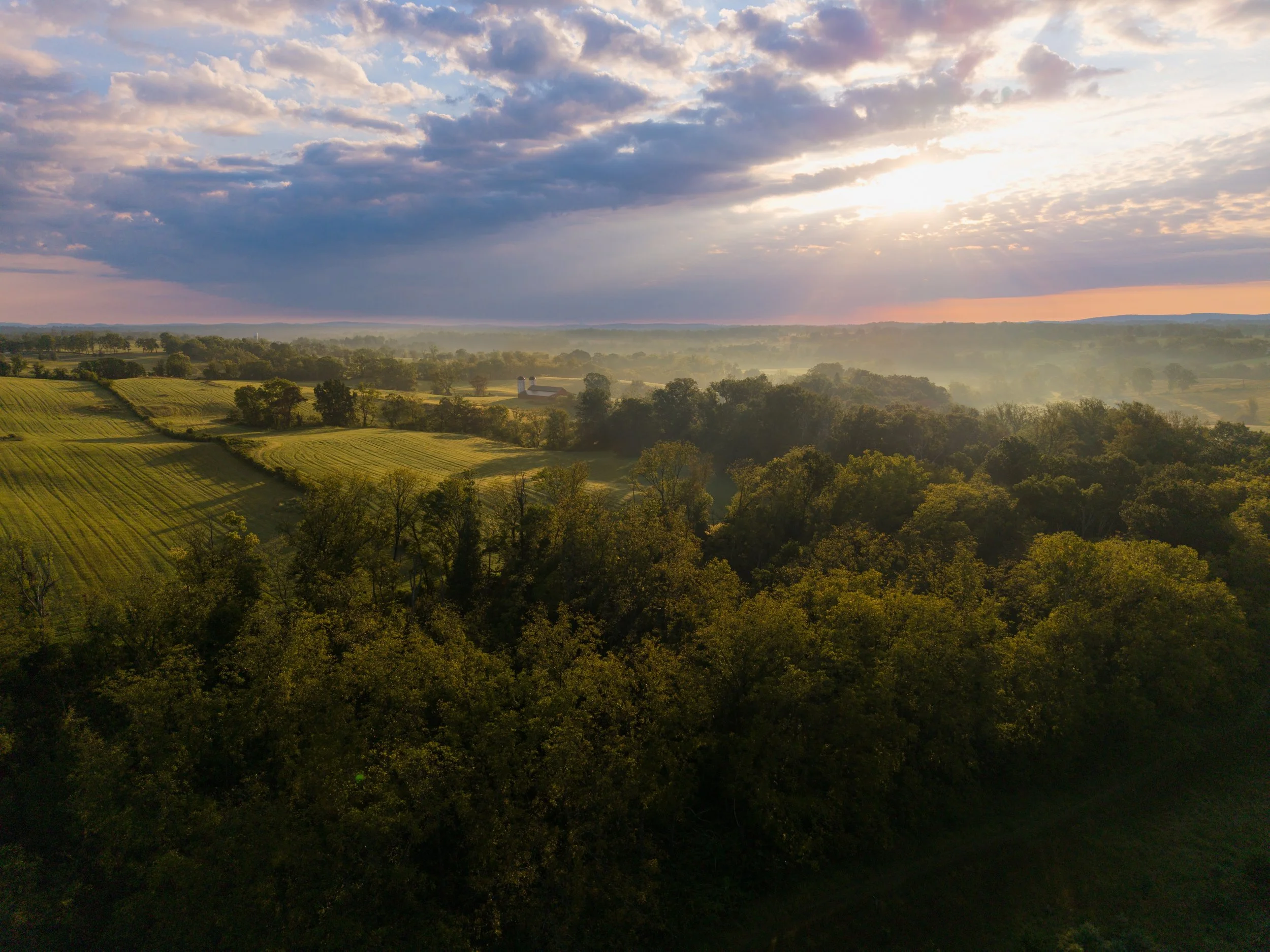 DJI_20250905073532_0274_D.jpg