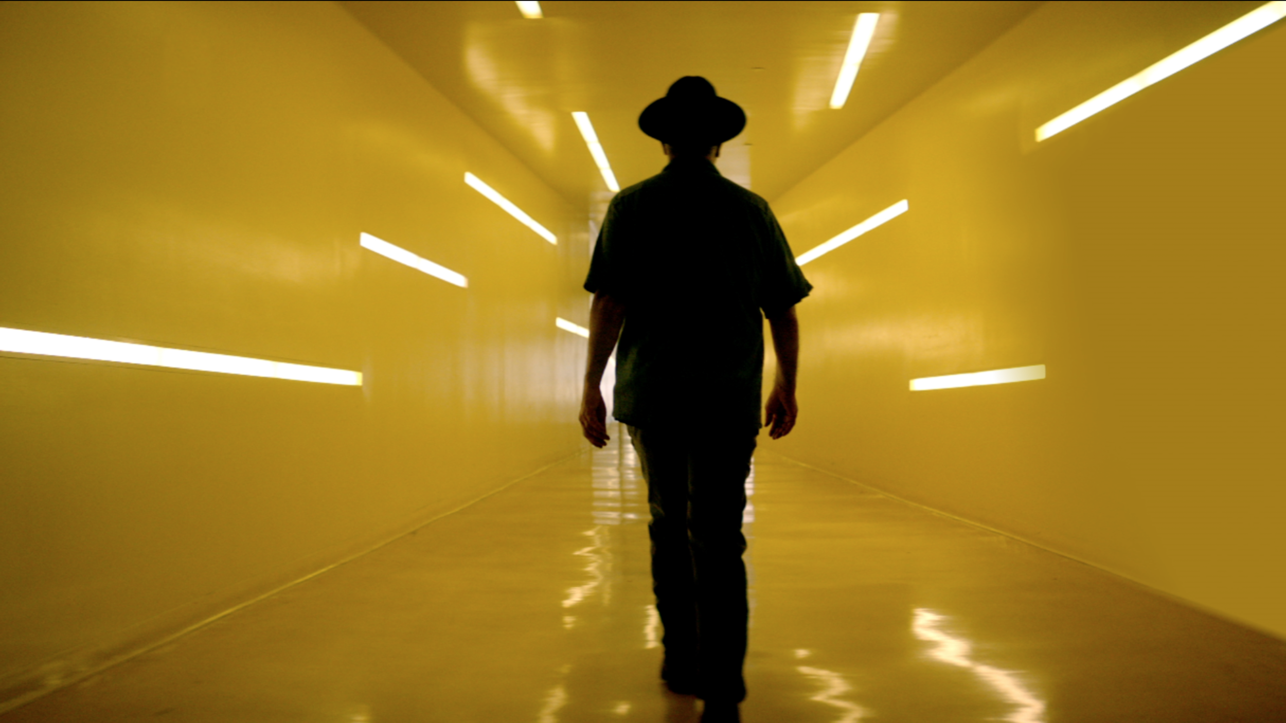 Screen Shot 2019-05-21 at 12.00.42 PM.png