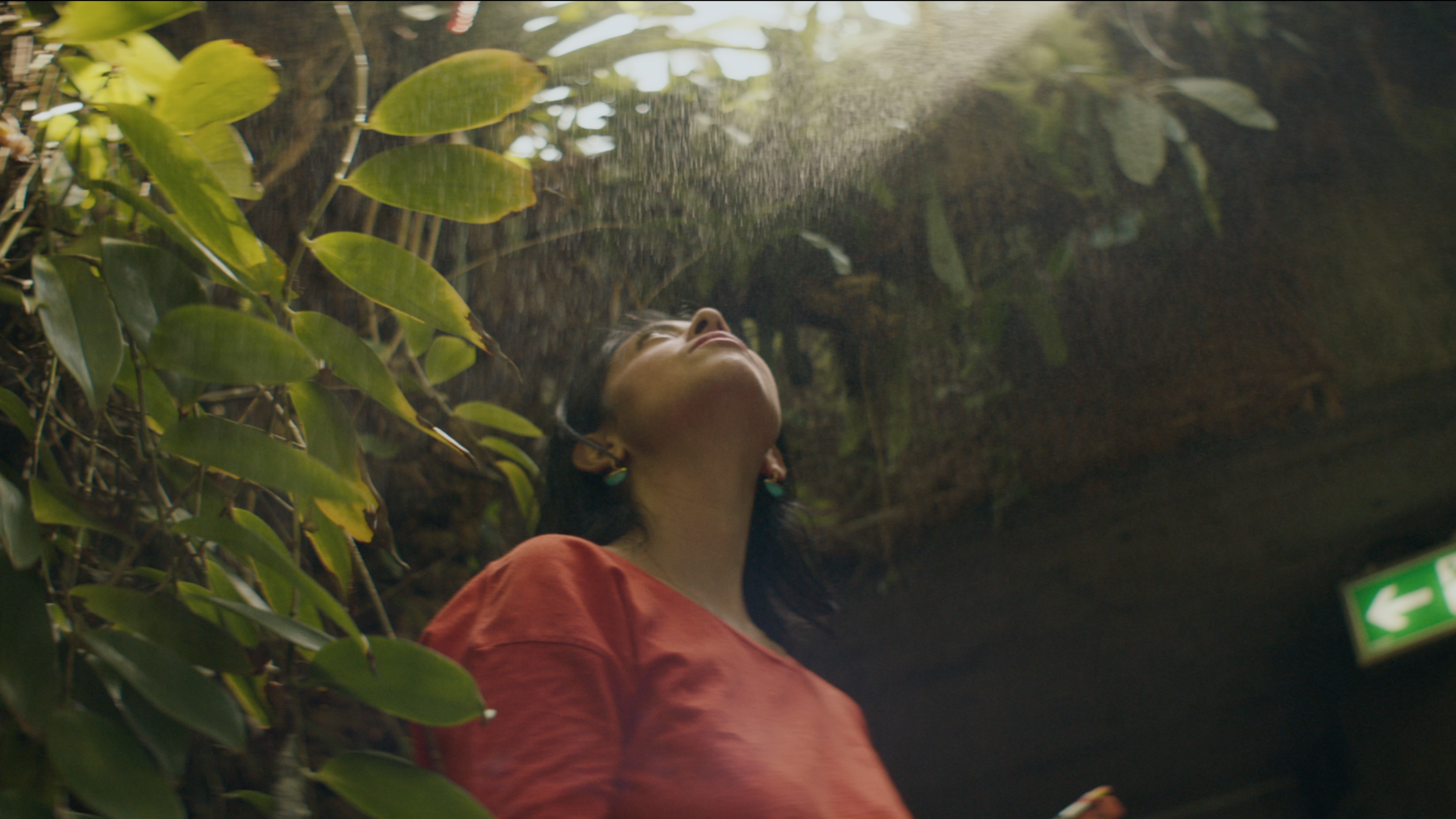 Screen Shot 2019-05-23 at 2.22.09 PM.png