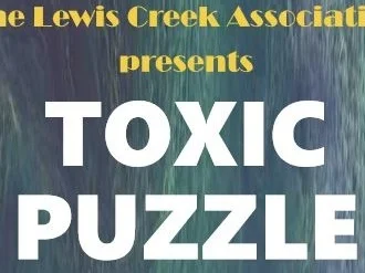 Toxic%2BPuzzle%2BPoster.jpg